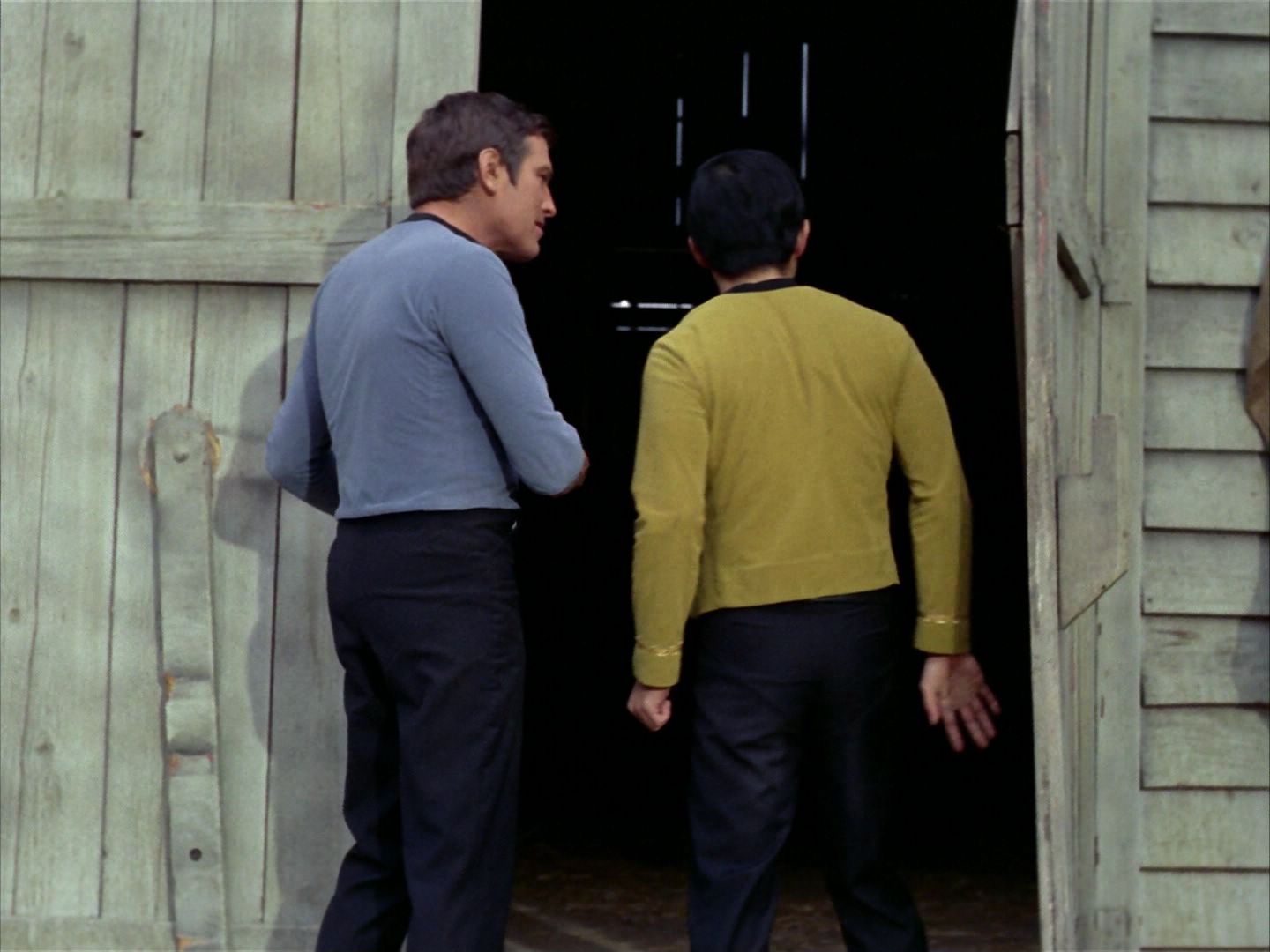 ariane179254_StarTrek_1x24_ThisSideOfParadise_0496.jpg