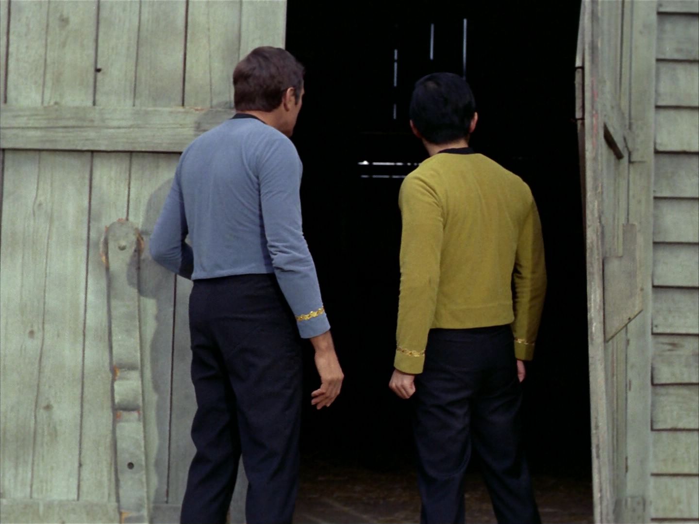 ariane179254_StarTrek_1x24_ThisSideOfParadise_0501.jpg