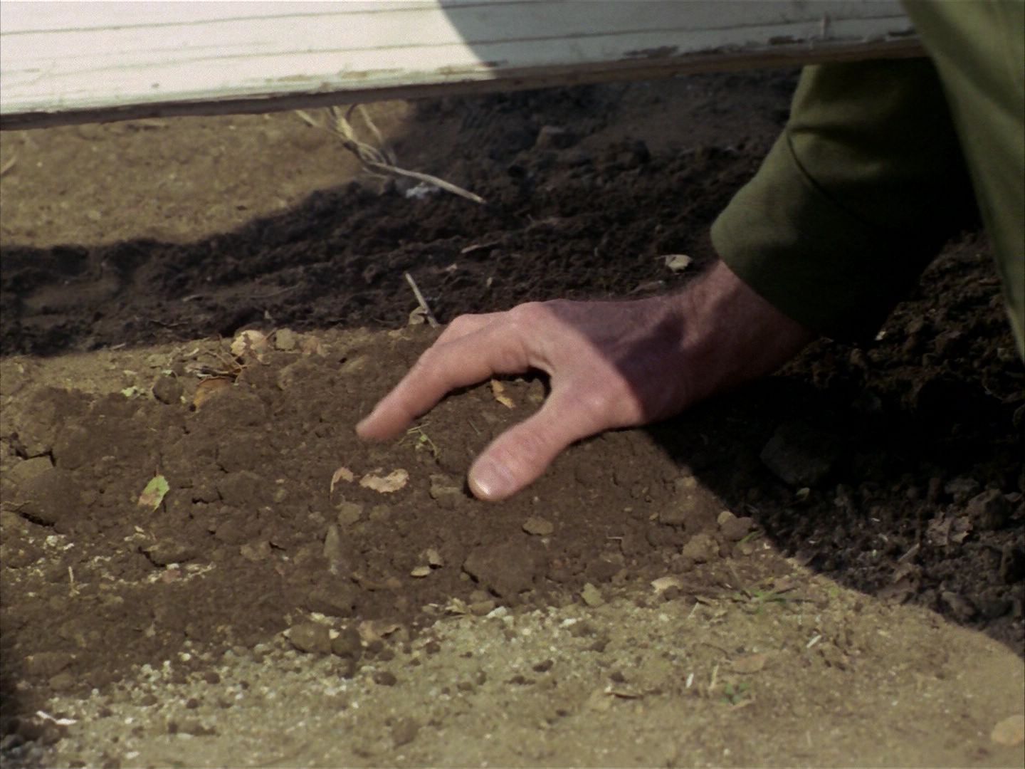ariane179254_StarTrek_1x24_ThisSideOfParadise_0656.jpg