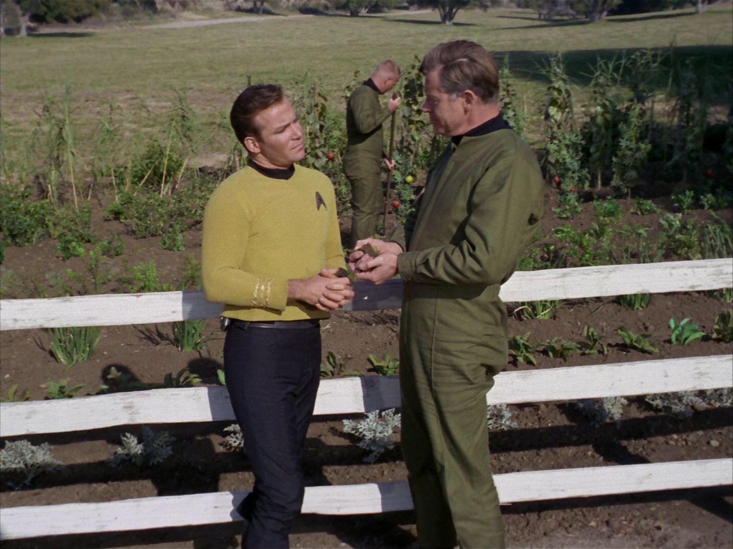 ariane179254_StarTrek_1x24_ThisSideOfParadise_0661.jpg