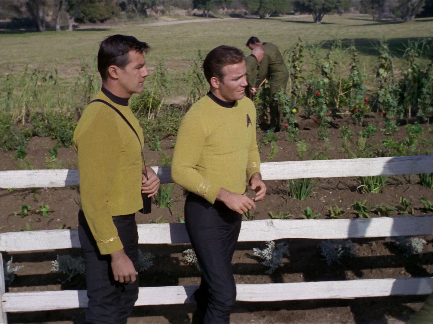 ariane179254_StarTrek_1x24_ThisSideOfParadise_0679.jpg