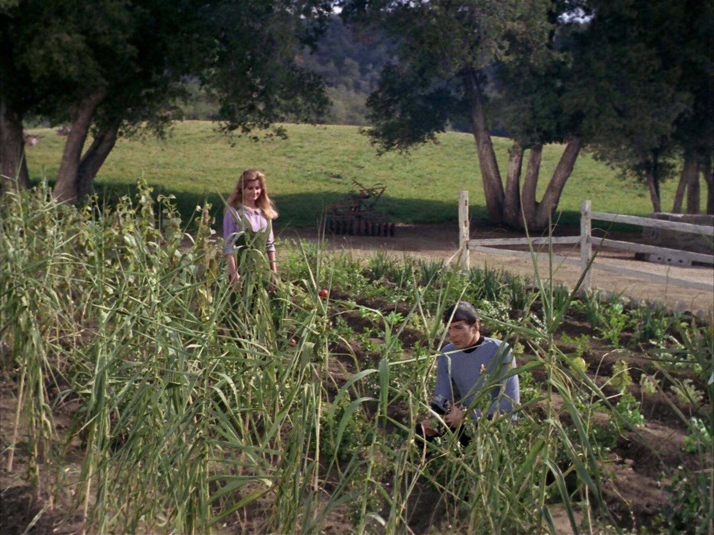 ariane179254_StarTrek_1x24_ThisSideOfParadise_0780.jpg
