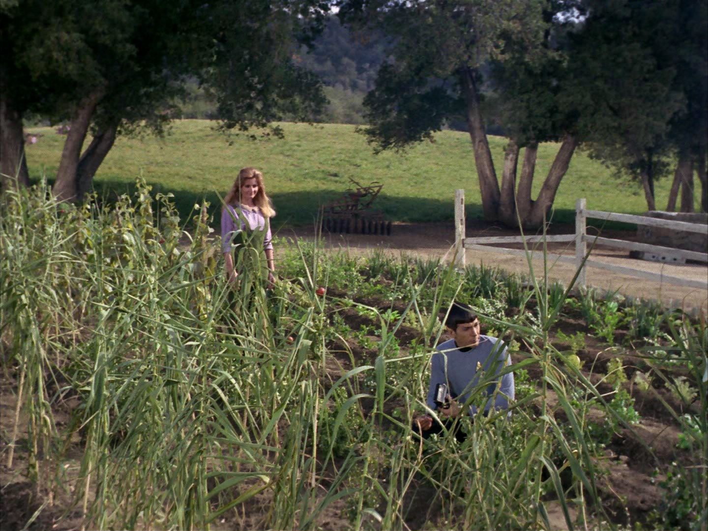 ariane179254_StarTrek_1x24_ThisSideOfParadise_0781.jpg