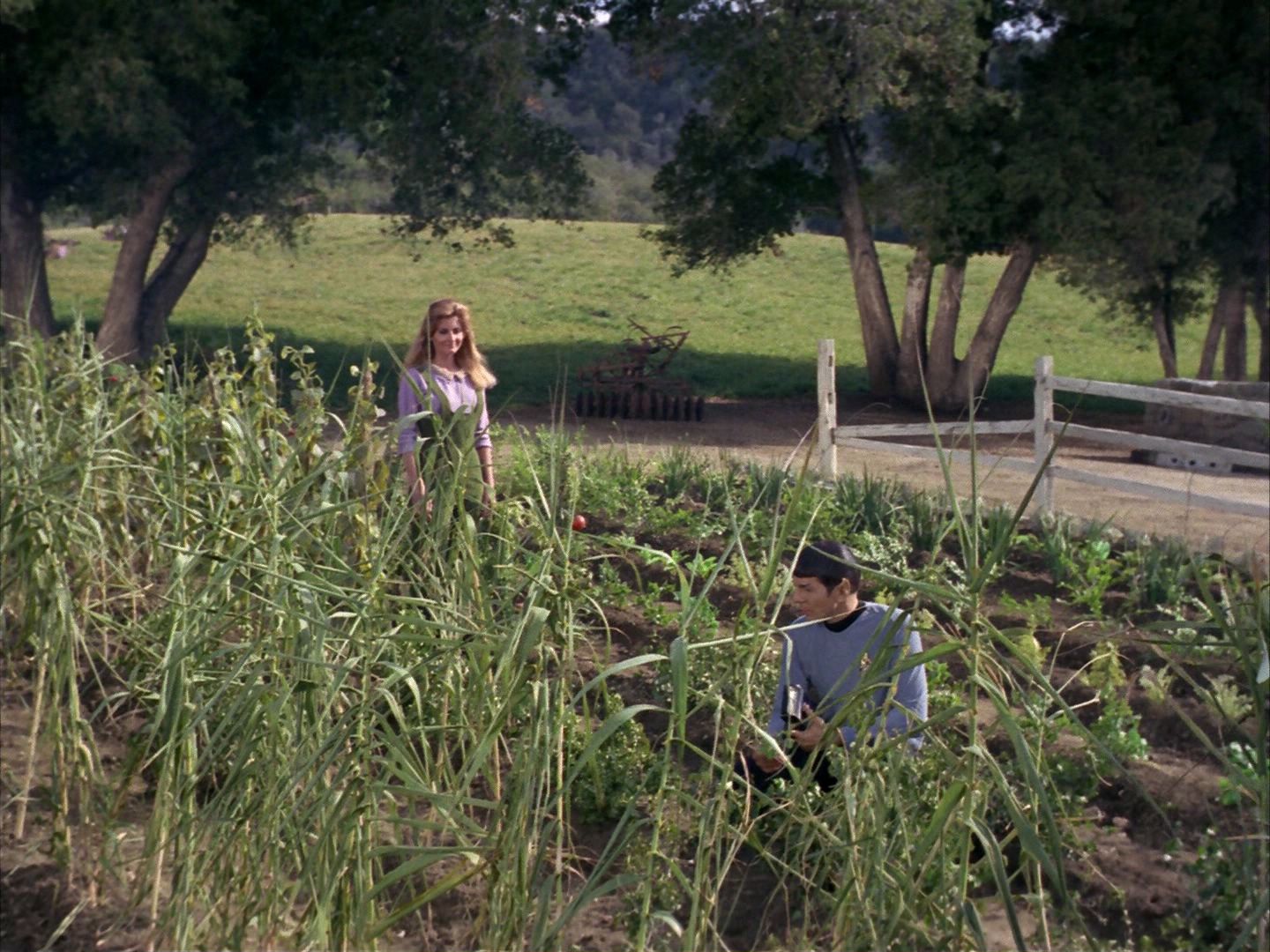 ariane179254_StarTrek_1x24_ThisSideOfParadise_0784.jpg