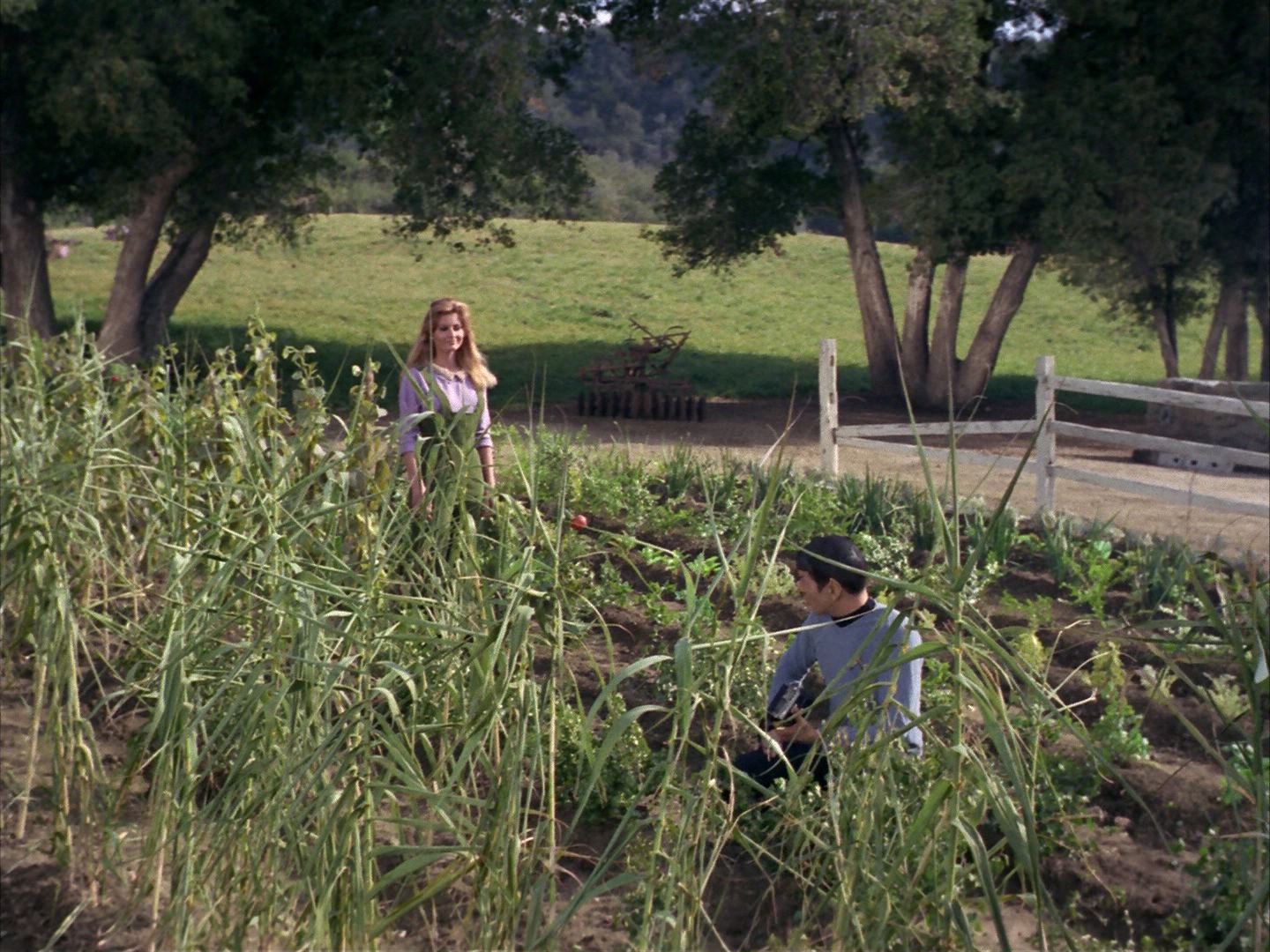 ariane179254_StarTrek_1x24_ThisSideOfParadise_0788.jpg