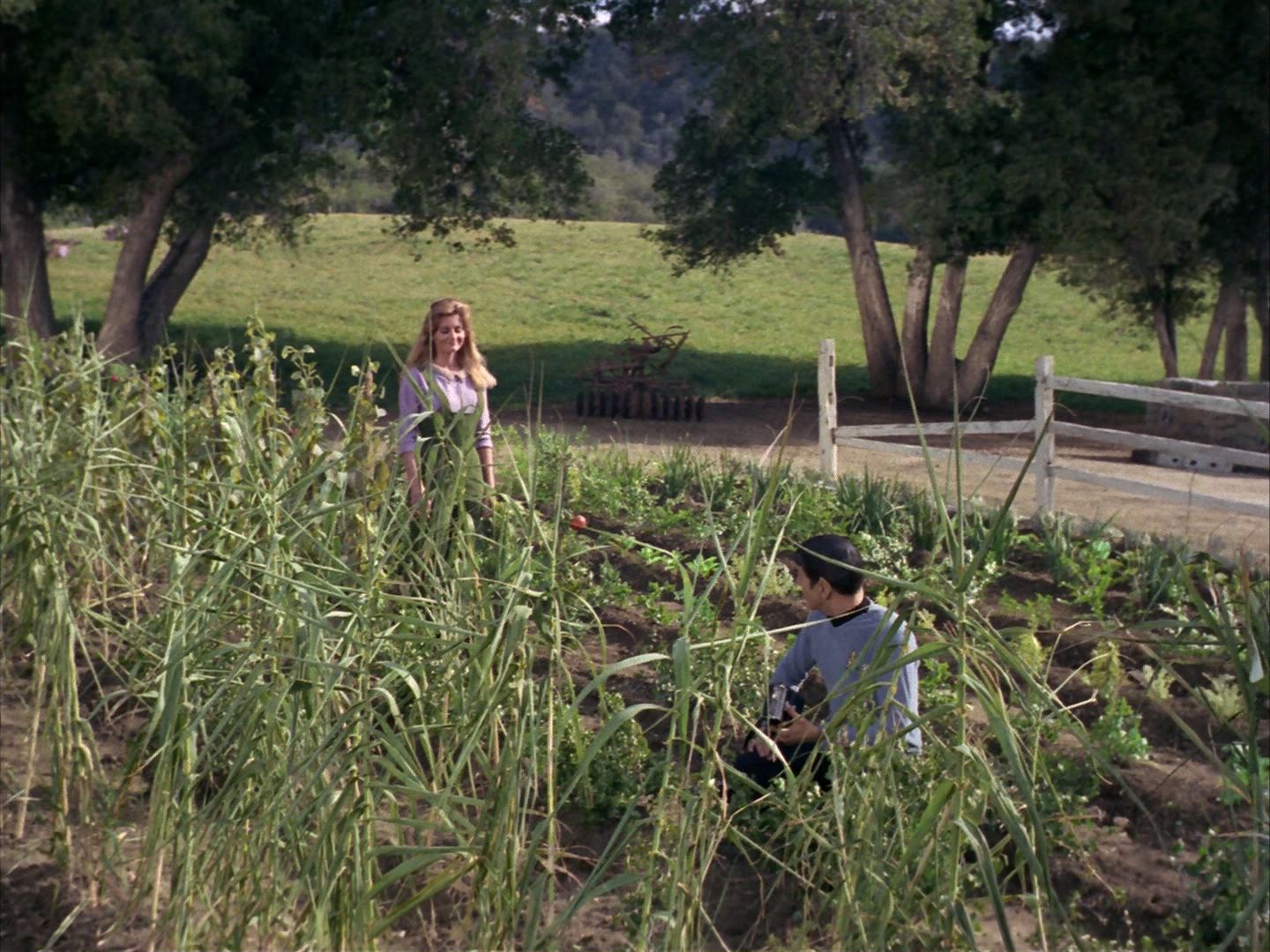 ariane179254_StarTrek_1x24_ThisSideOfParadise_0789.jpg