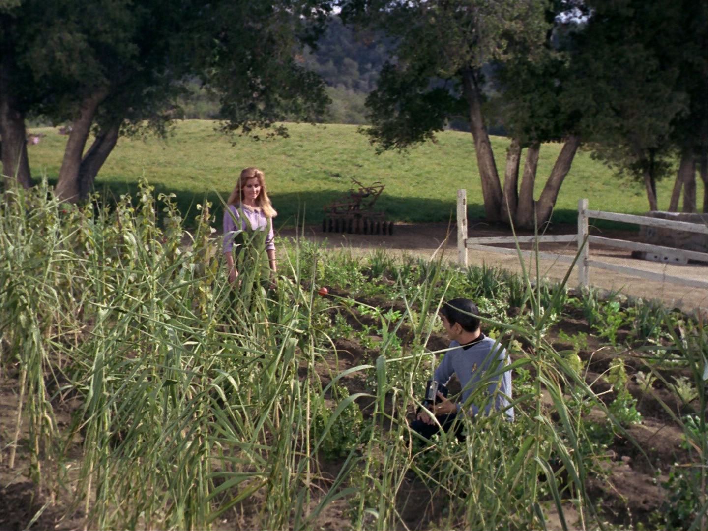 ariane179254_StarTrek_1x24_ThisSideOfParadise_0790.jpg