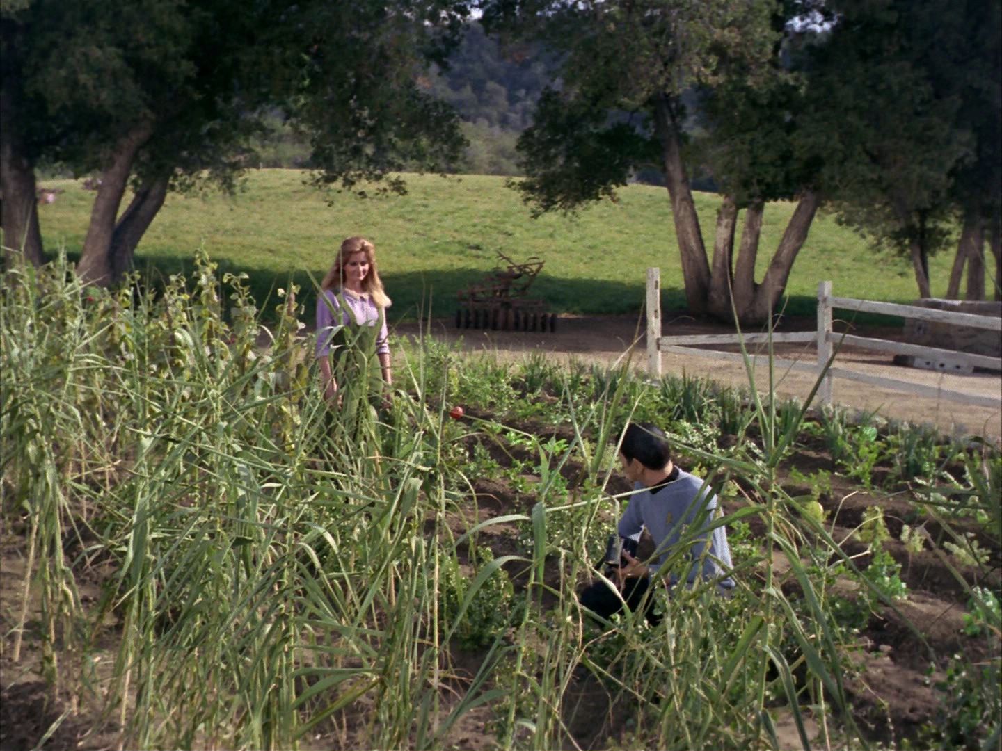 ariane179254_StarTrek_1x24_ThisSideOfParadise_0791.jpg