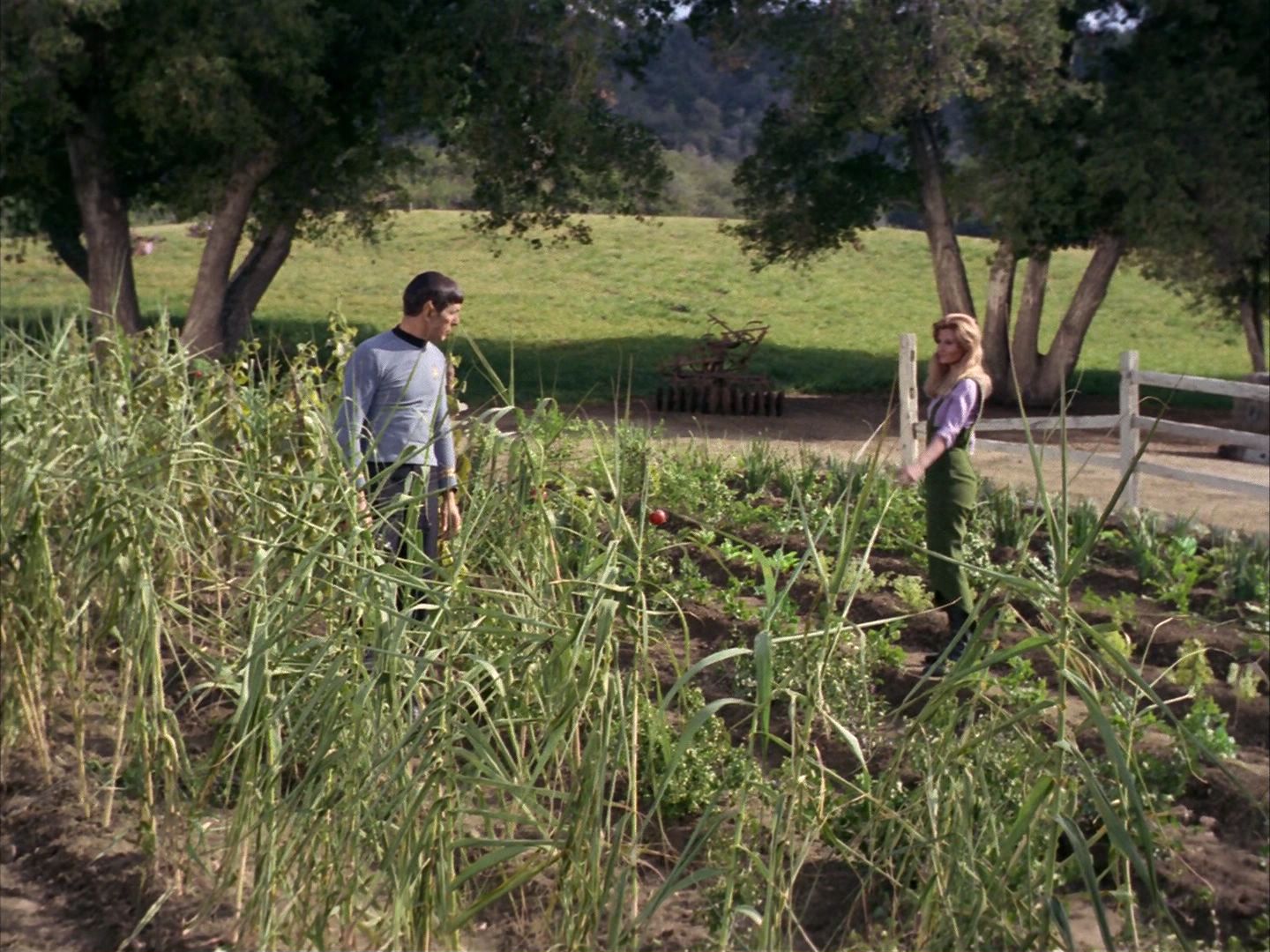 ariane179254_StarTrek_1x24_ThisSideOfParadise_0864.jpg