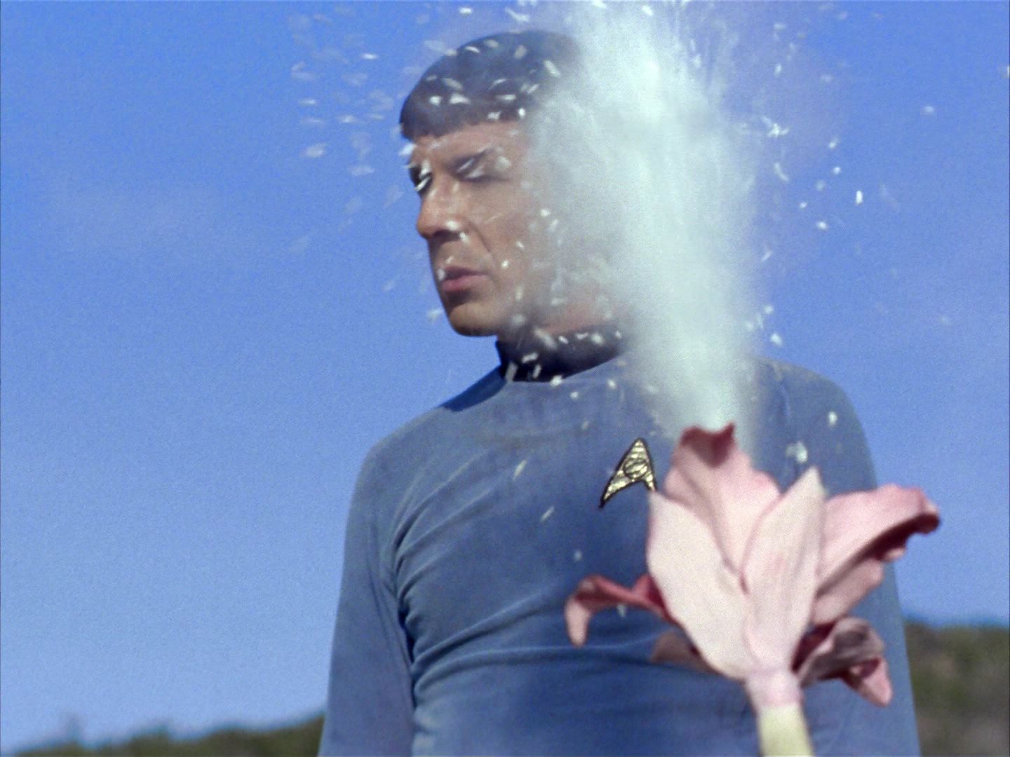 ariane179254_StarTrek_1x24_ThisSideOfParadise_0999.jpg
