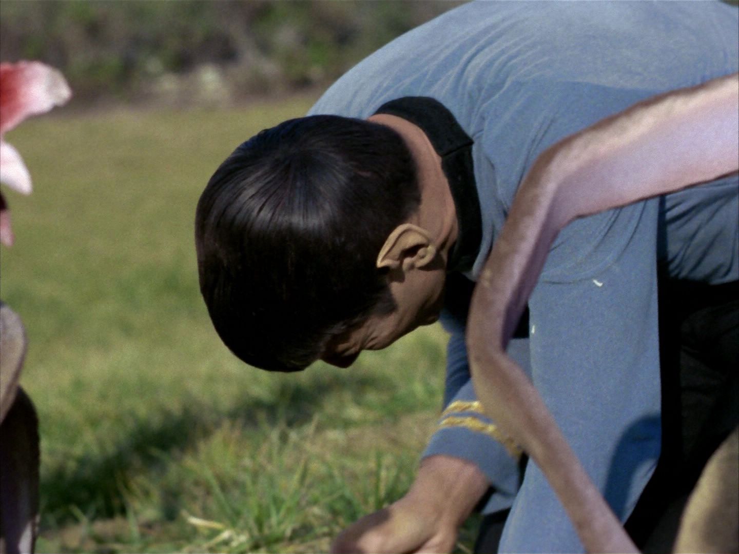 ariane179254_StarTrek_1x24_ThisSideOfParadise_1028.jpg