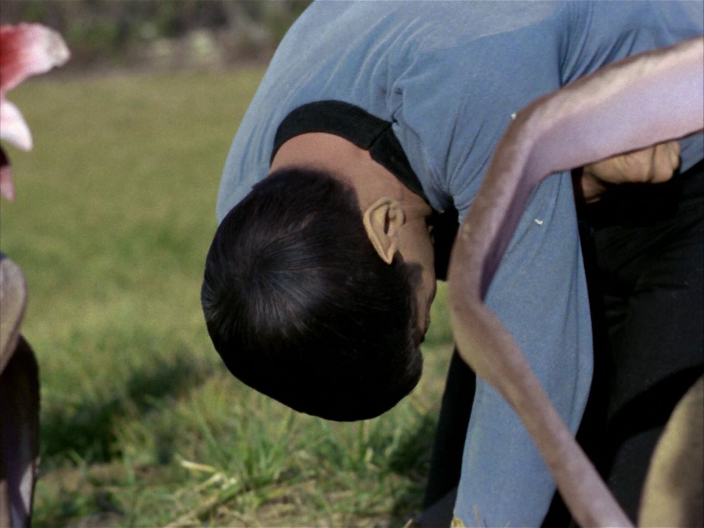 ariane179254_StarTrek_1x24_ThisSideOfParadise_1031.jpg