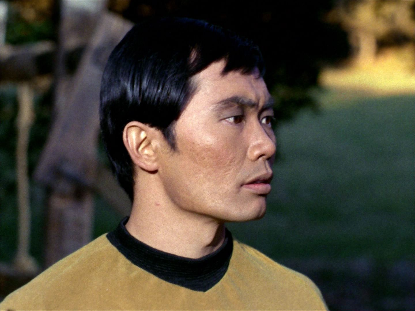 ariane179254_StarTrek_1x24_ThisSideOfParadise_1177.jpg