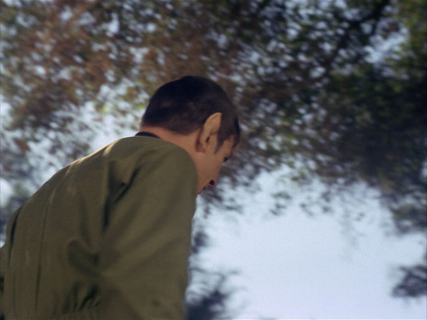 ariane179254_StarTrek_1x24_ThisSideOfParadise_1242.jpg