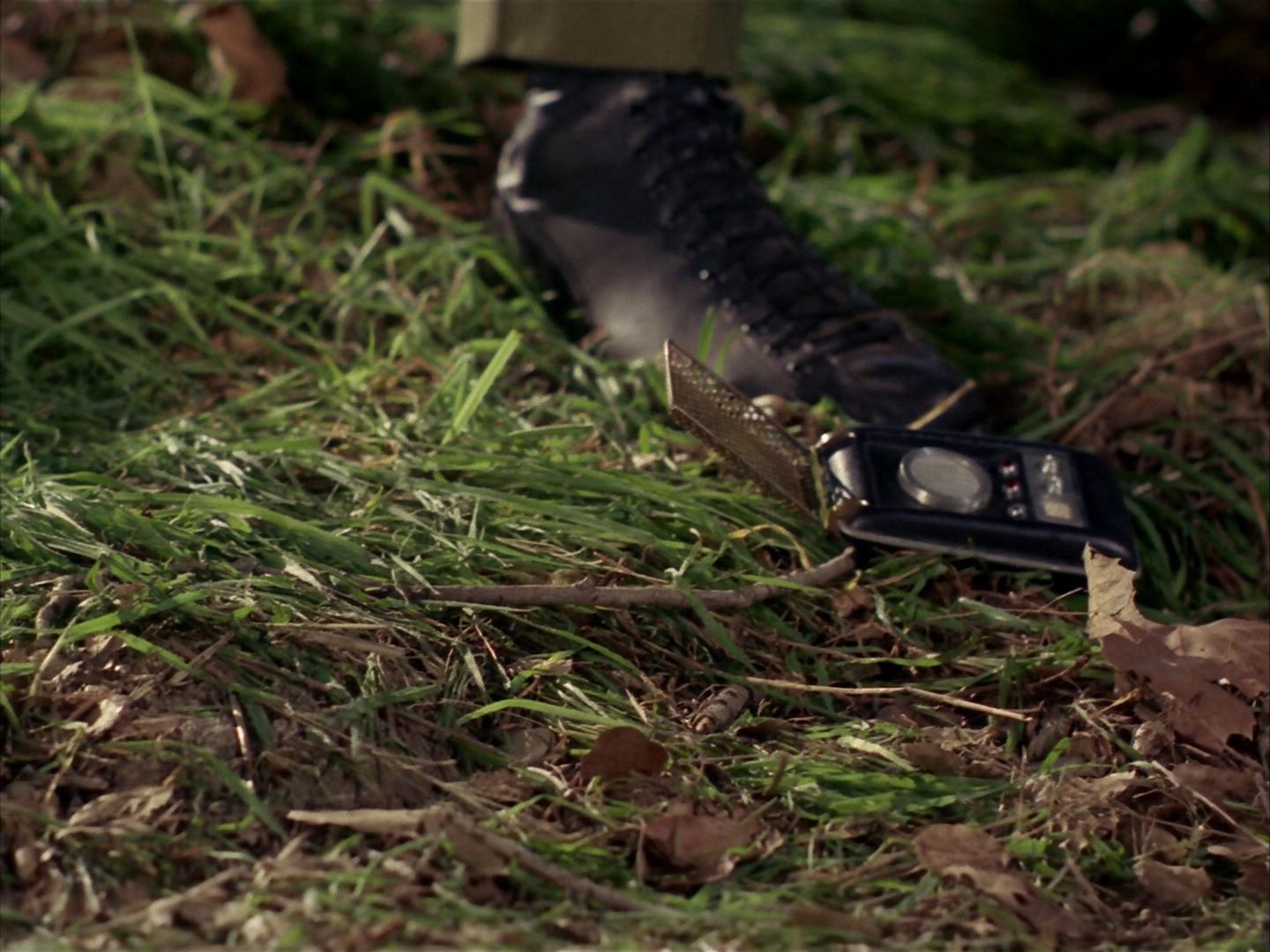 ariane179254_StarTrek_1x24_ThisSideOfParadise_1310.jpg