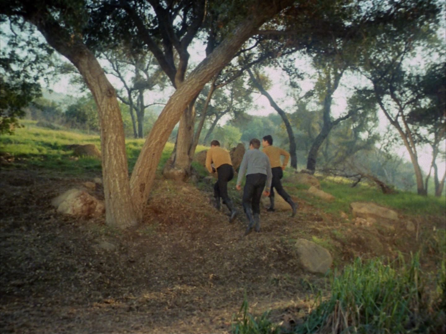 ariane179254_StarTrek_1x24_ThisSideOfParadise_1363.jpg
