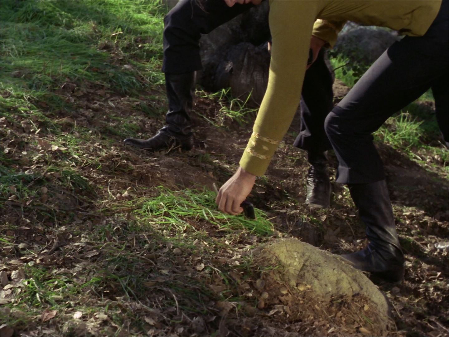 ariane179254_StarTrek_1x24_ThisSideOfParadise_1365.jpg