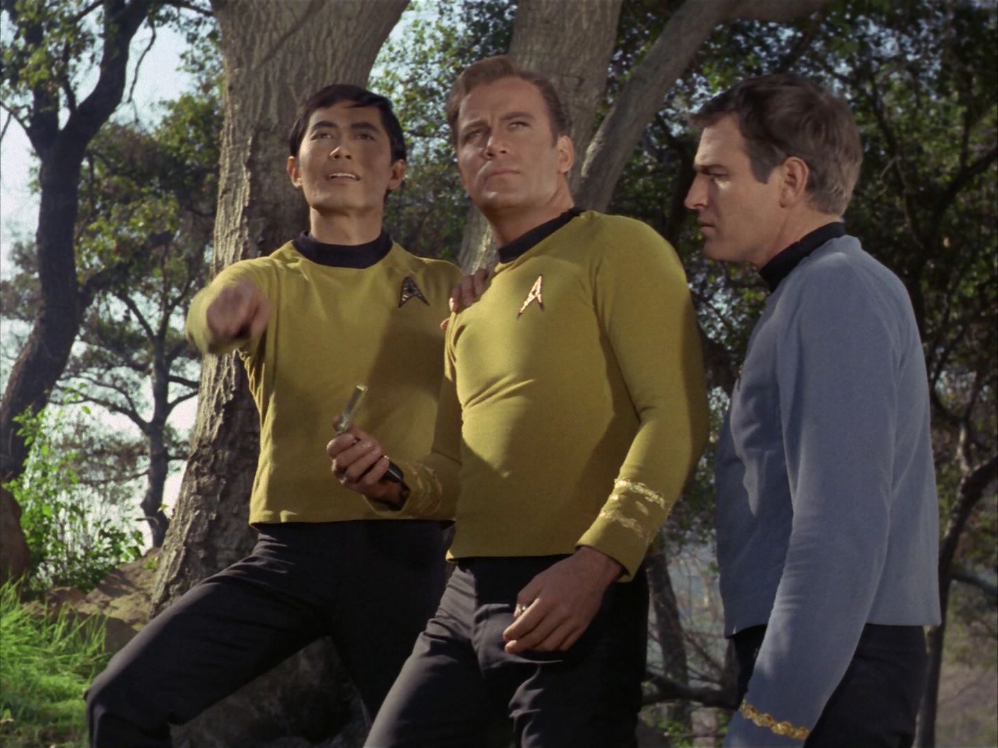 ariane179254_StarTrek_1x24_ThisSideOfParadise_1369.jpg