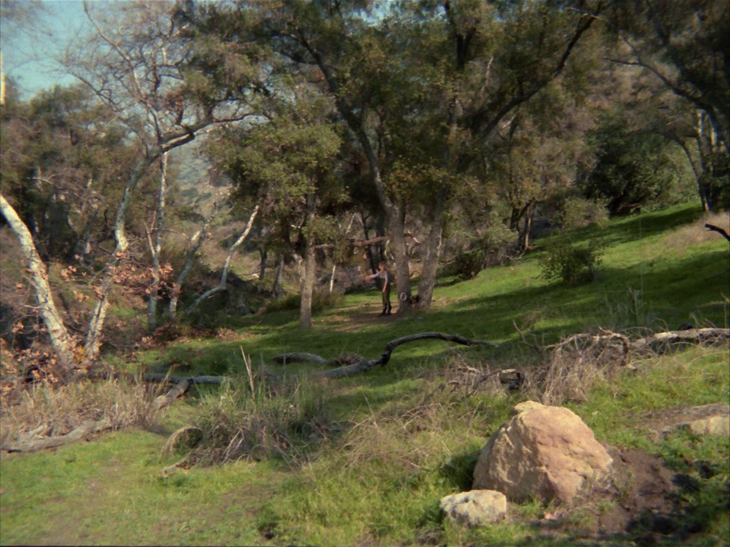 ariane179254_StarTrek_1x24_ThisSideOfParadise_1374.jpg