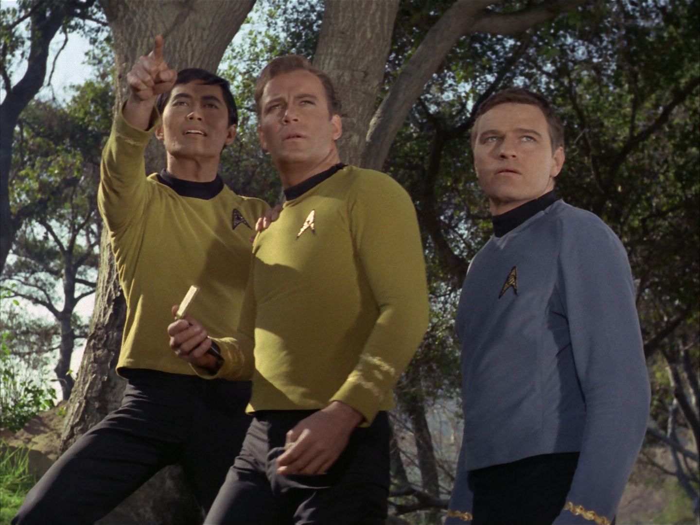 ariane179254_StarTrek_1x24_ThisSideOfParadise_1375.jpg