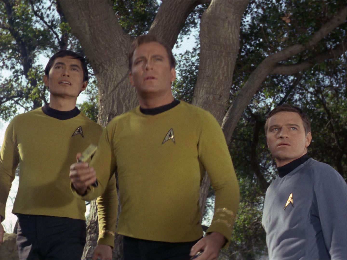 ariane179254_StarTrek_1x24_ThisSideOfParadise_1377.jpg