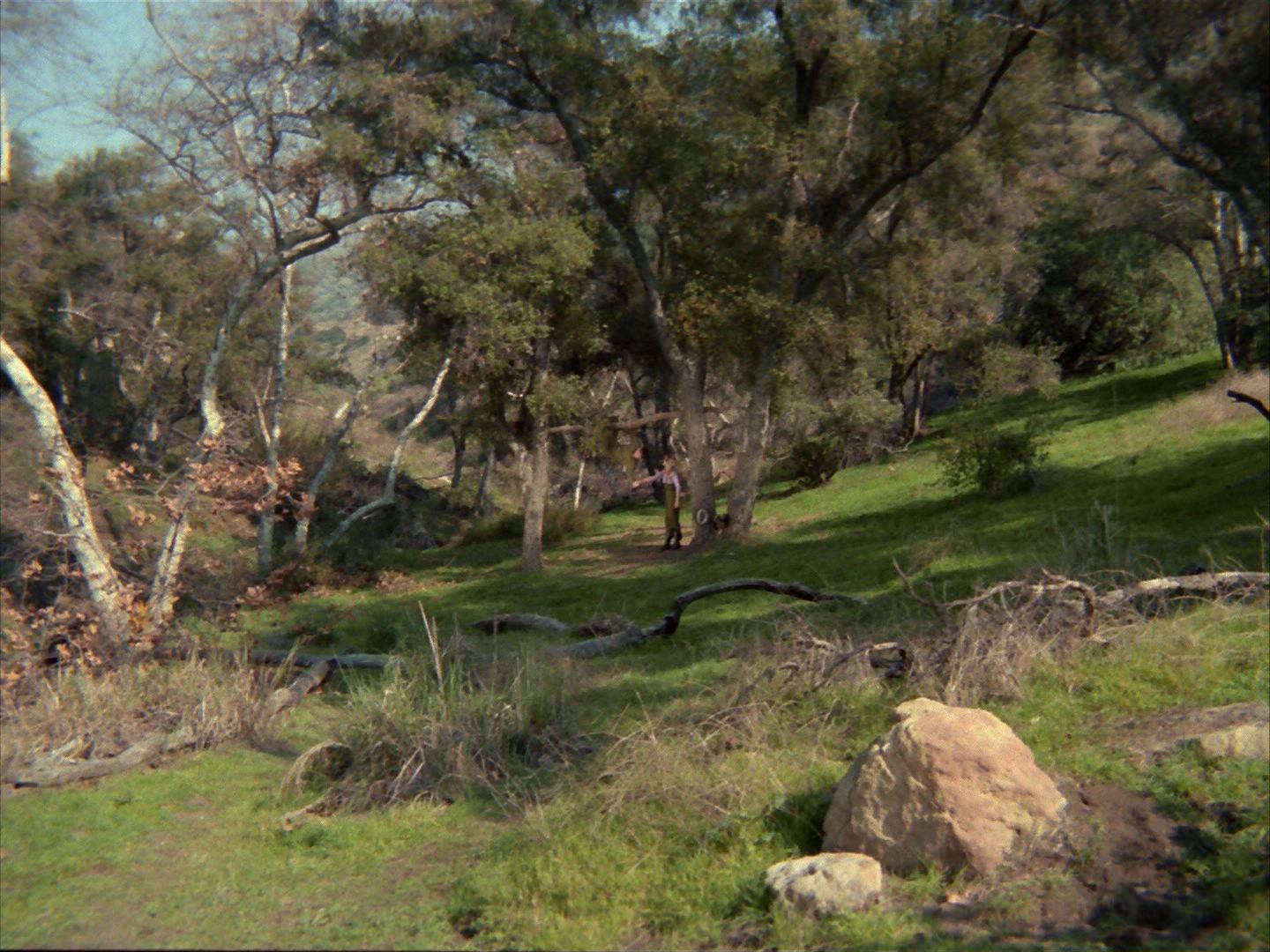 ariane179254_StarTrek_1x24_ThisSideOfParadise_1382.jpg