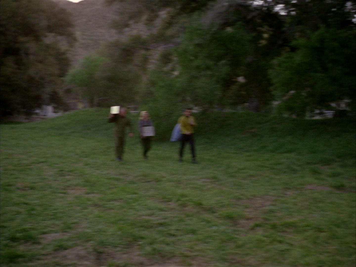 ariane179254_StarTrek_1x24_ThisSideOfParadise_1401.jpg