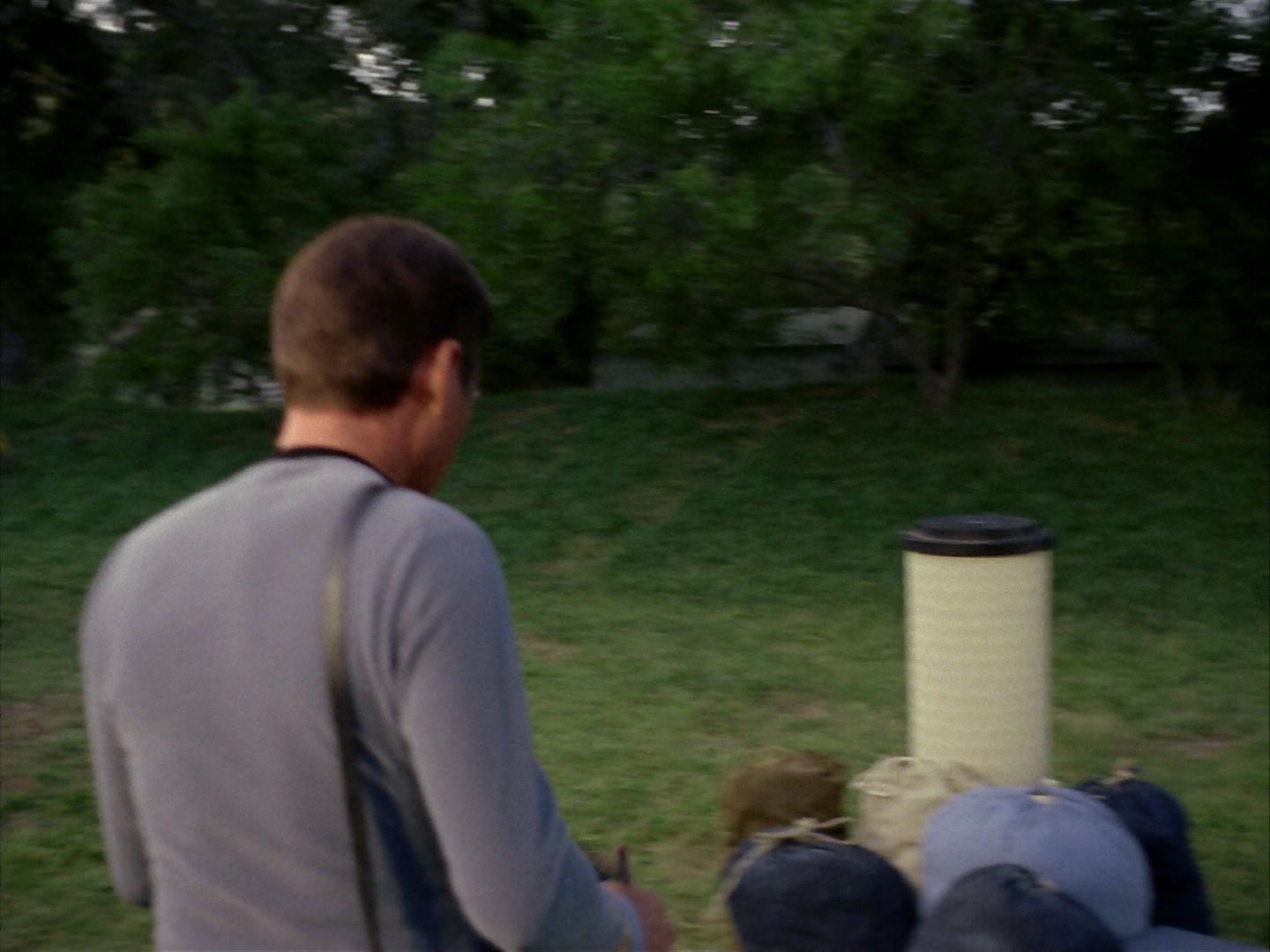 ariane179254_StarTrek_1x24_ThisSideOfParadise_1404.jpg
