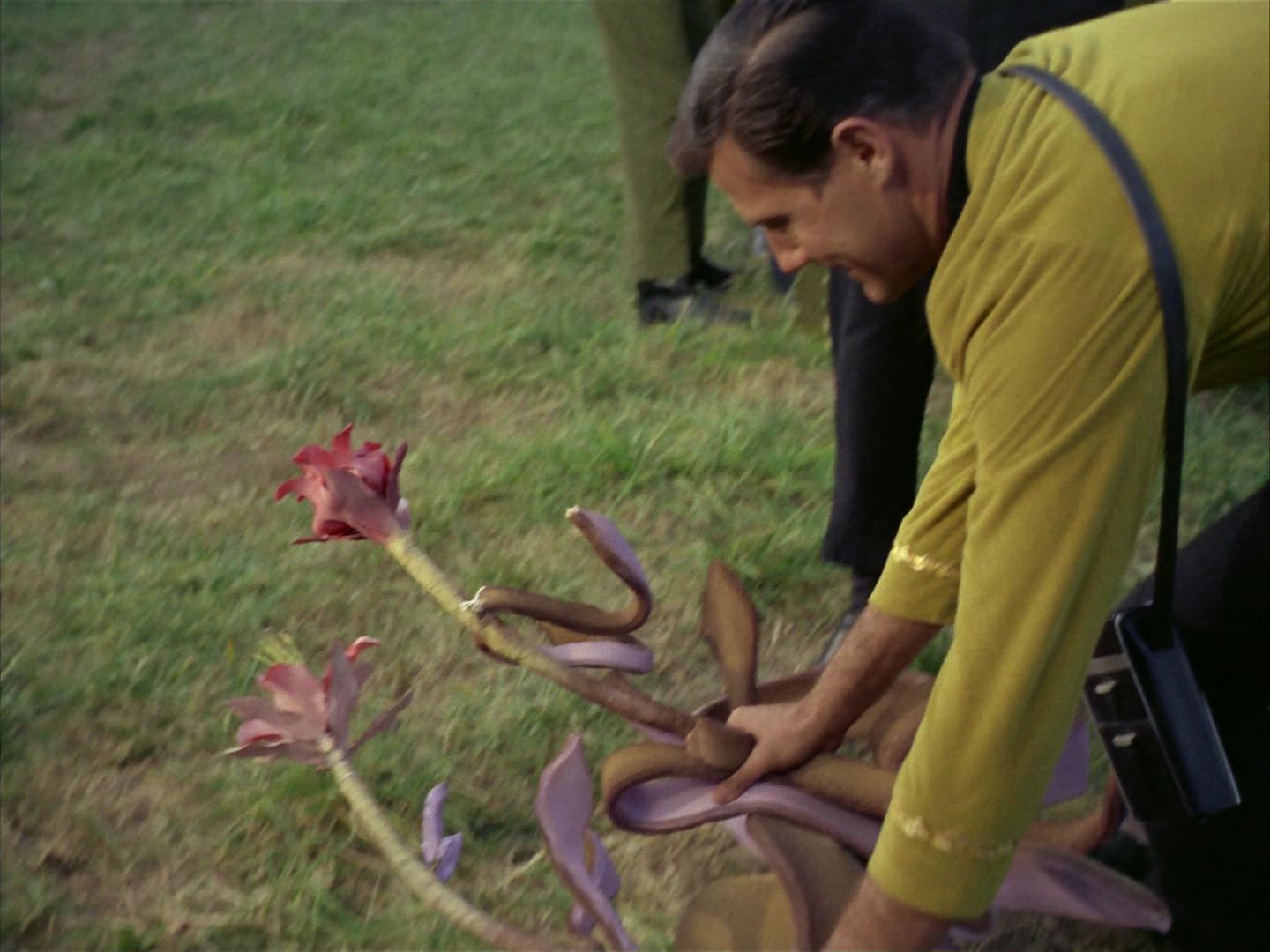 ariane179254_StarTrek_1x24_ThisSideOfParadise_1417.jpg