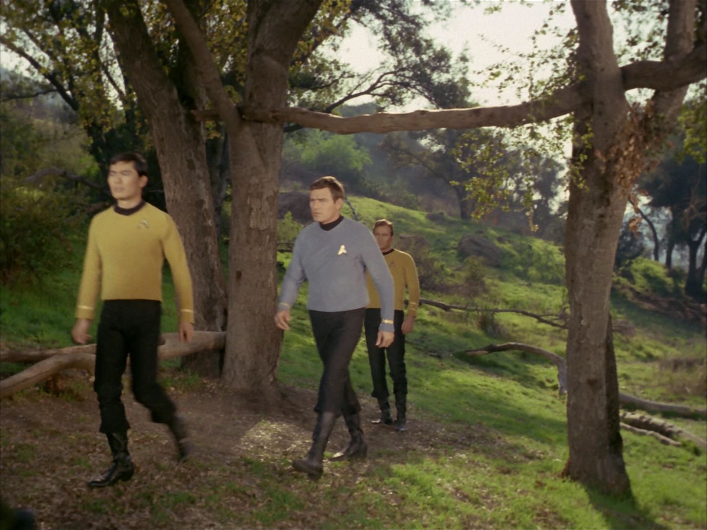 ariane179254_StarTrek_1x24_ThisSideOfParadise_1478.jpg