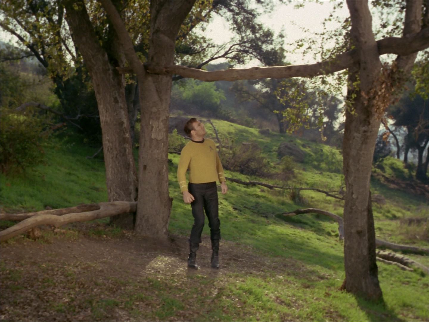 ariane179254_StarTrek_1x24_ThisSideOfParadise_1481.jpg
