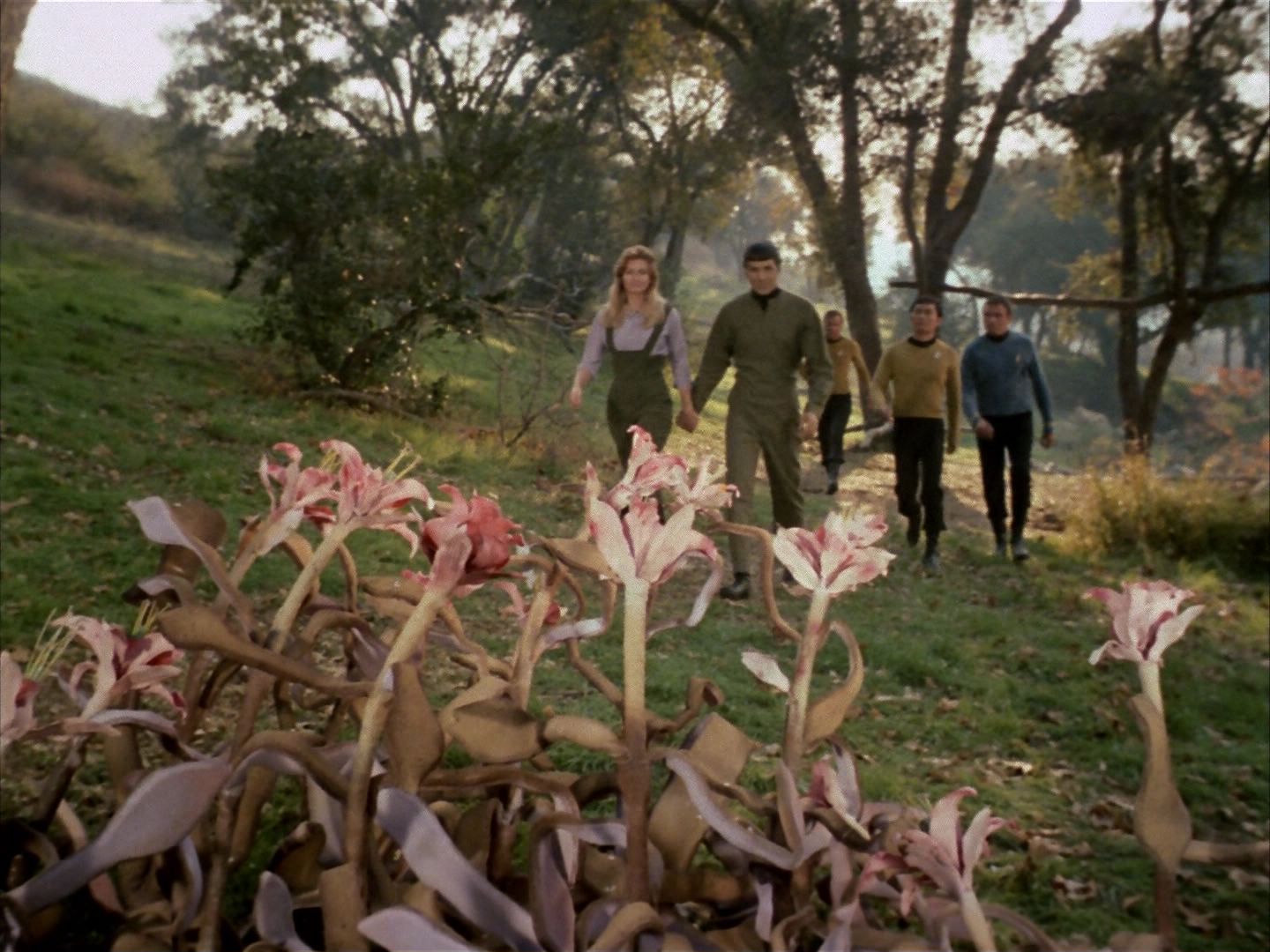 ariane179254_StarTrek_1x24_ThisSideOfParadise_1484.jpg