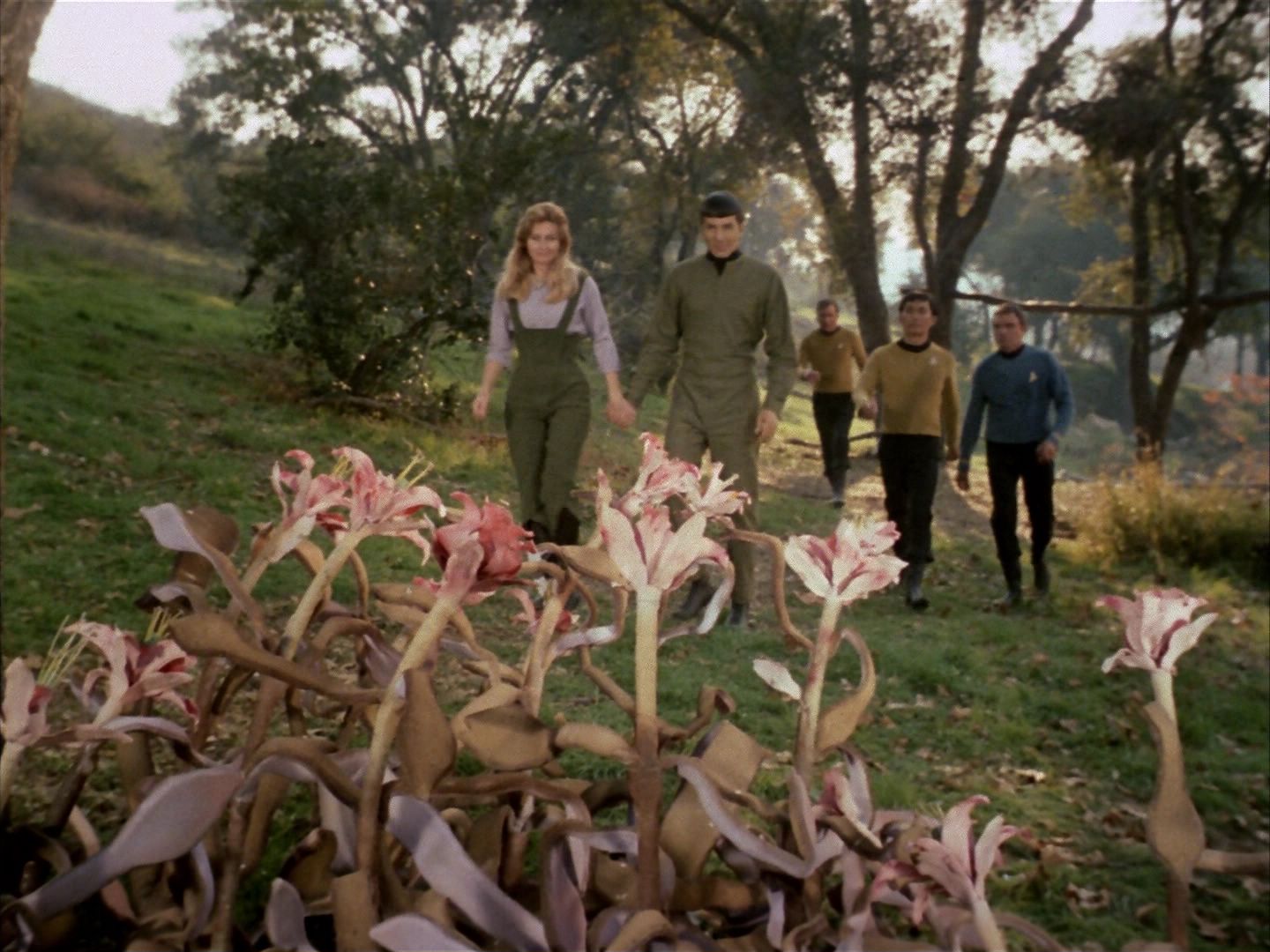 ariane179254_StarTrek_1x24_ThisSideOfParadise_1485.jpg