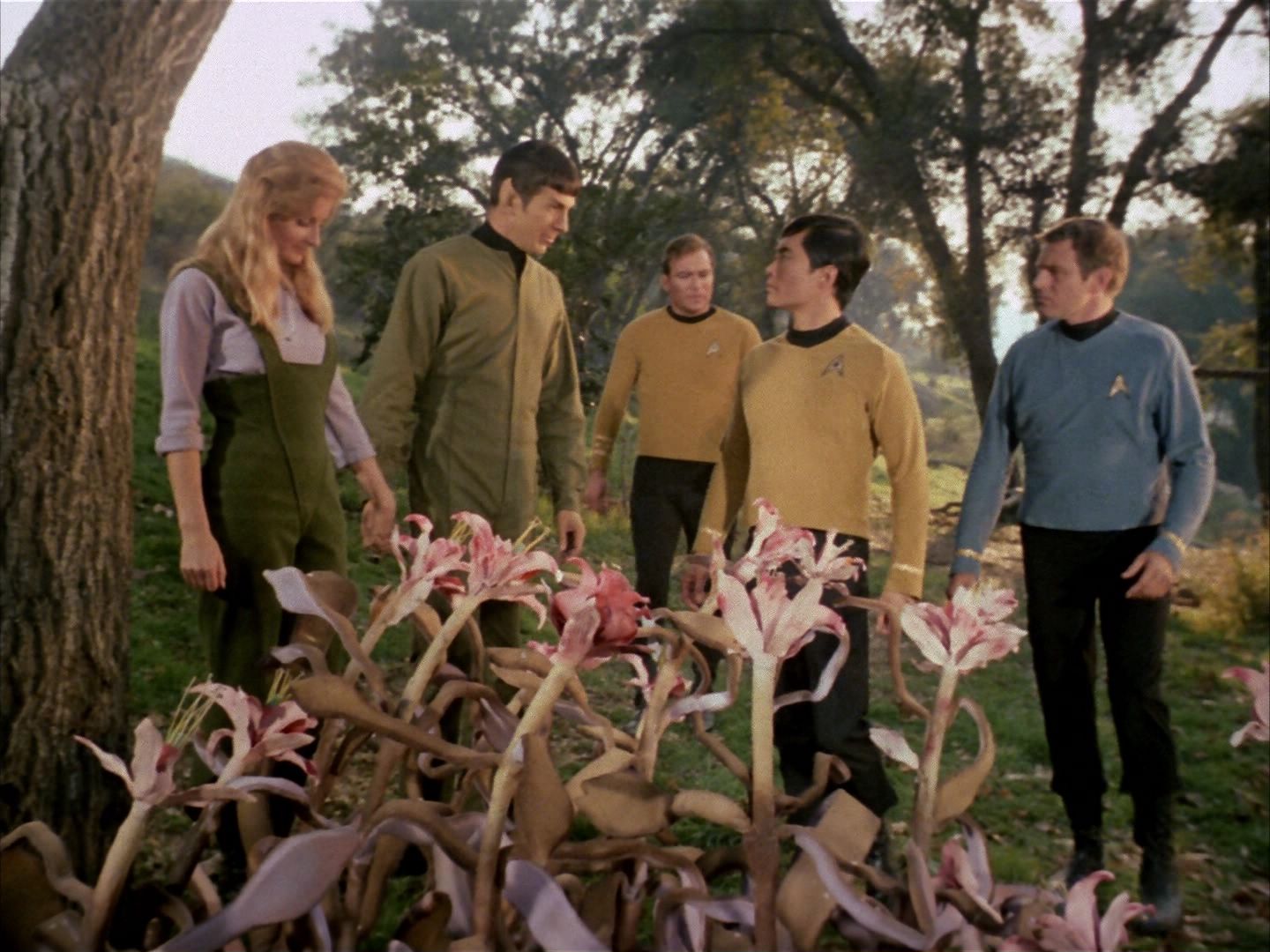 ariane179254_StarTrek_1x24_ThisSideOfParadise_1490.jpg