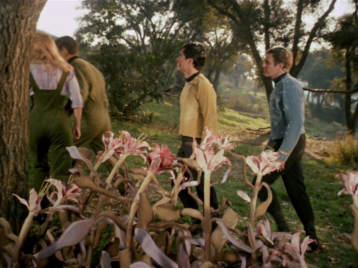 ariane179254_StarTrek_1x24_ThisSideOfParadise_1532.jpg