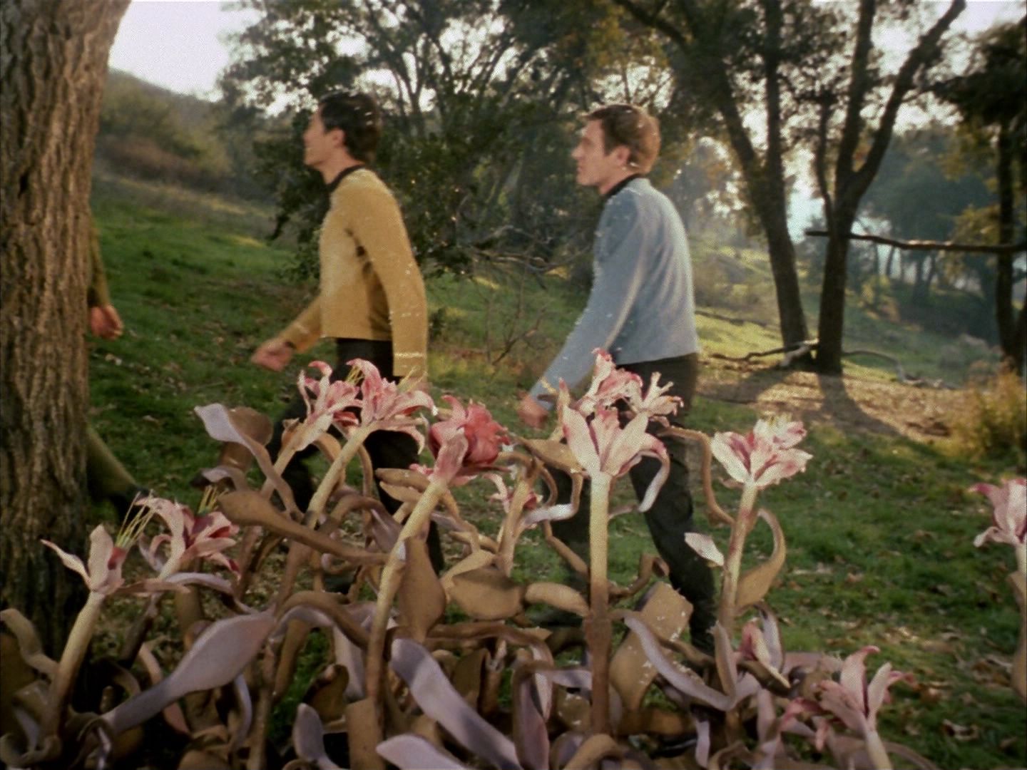 ariane179254_StarTrek_1x24_ThisSideOfParadise_1533.jpg