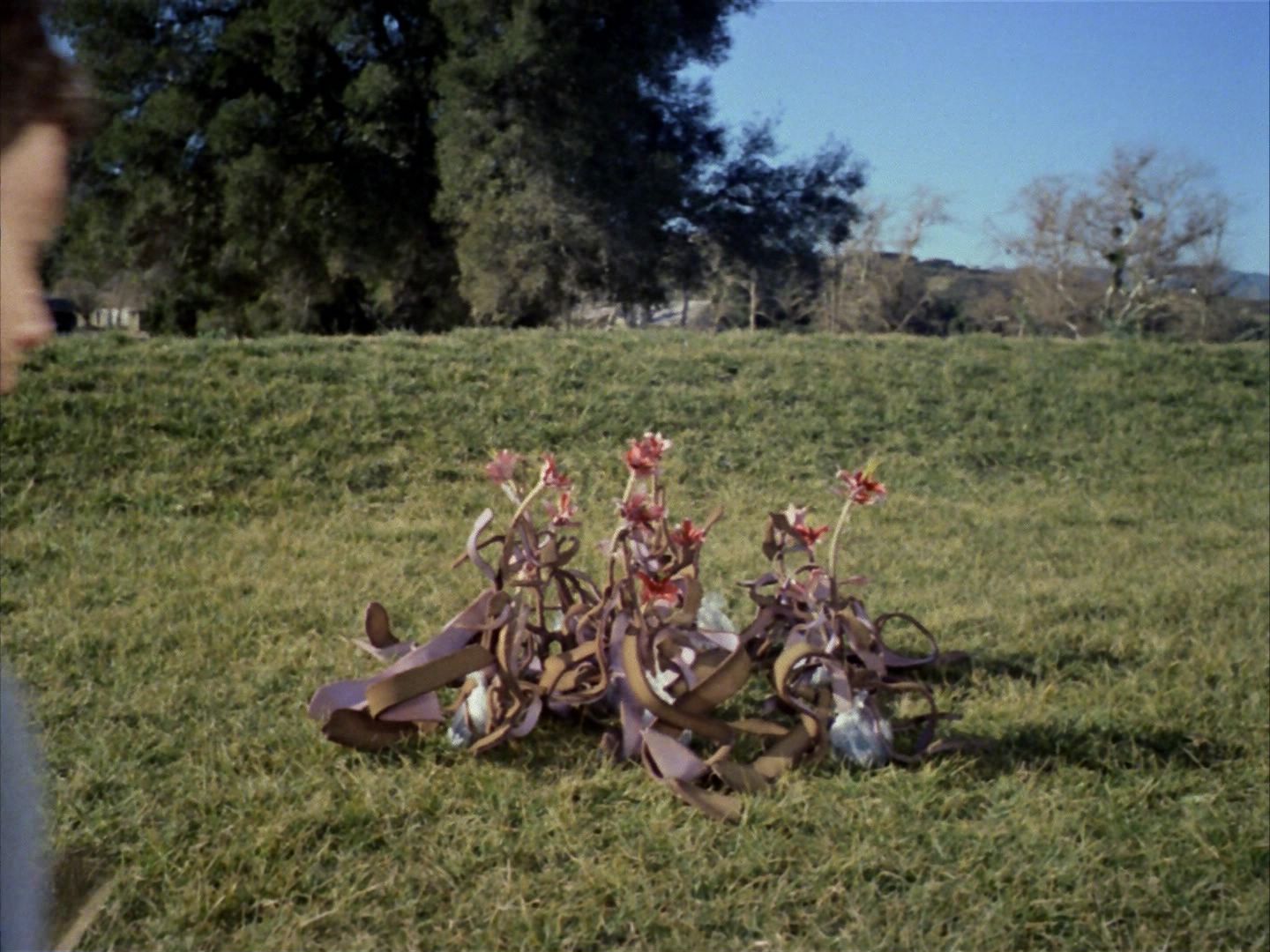 ariane179254_StarTrek_1x24_ThisSideOfParadise_1540.jpg