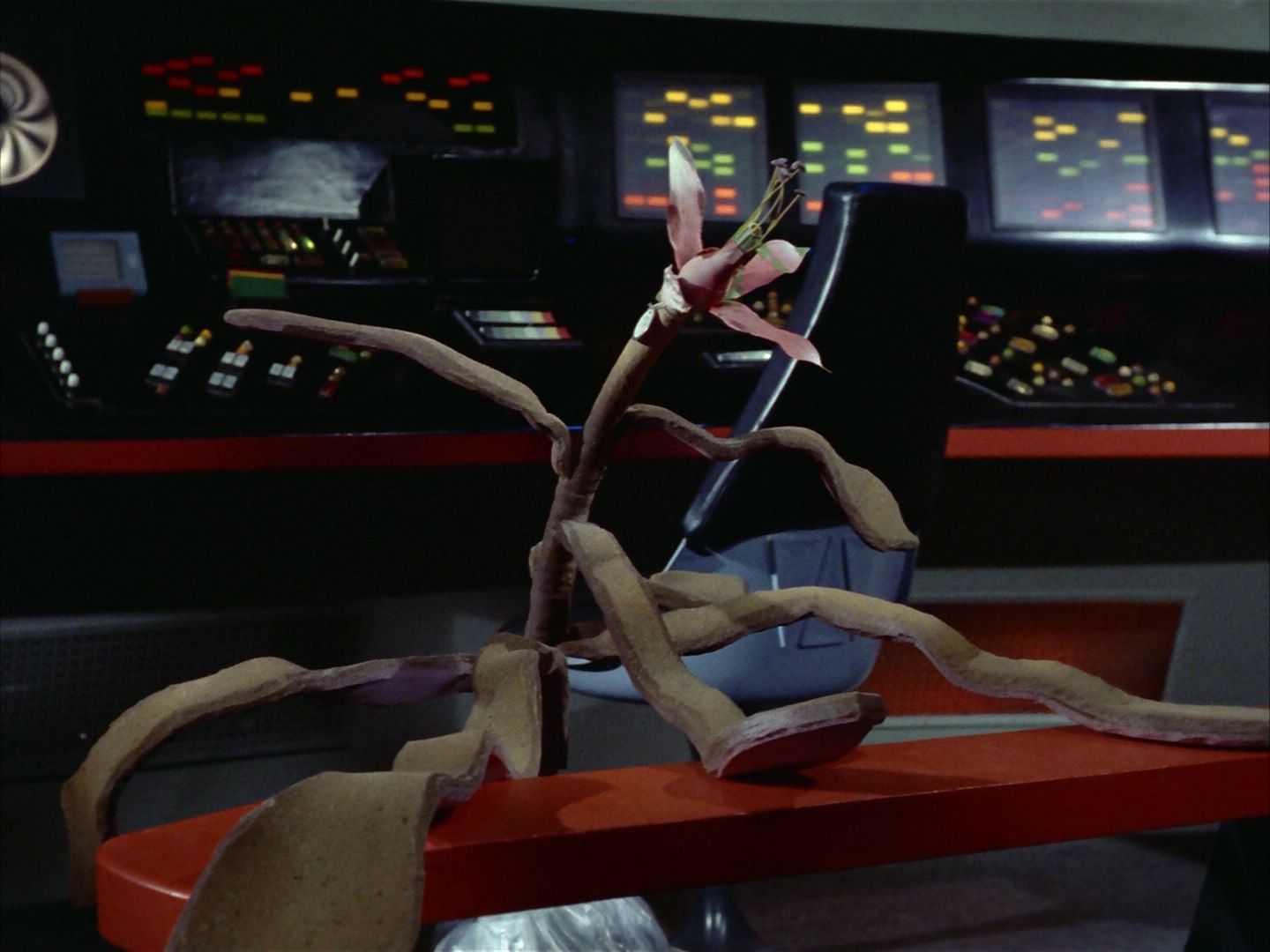 ariane179254_StarTrek_1x24_ThisSideOfParadise_1620.jpg