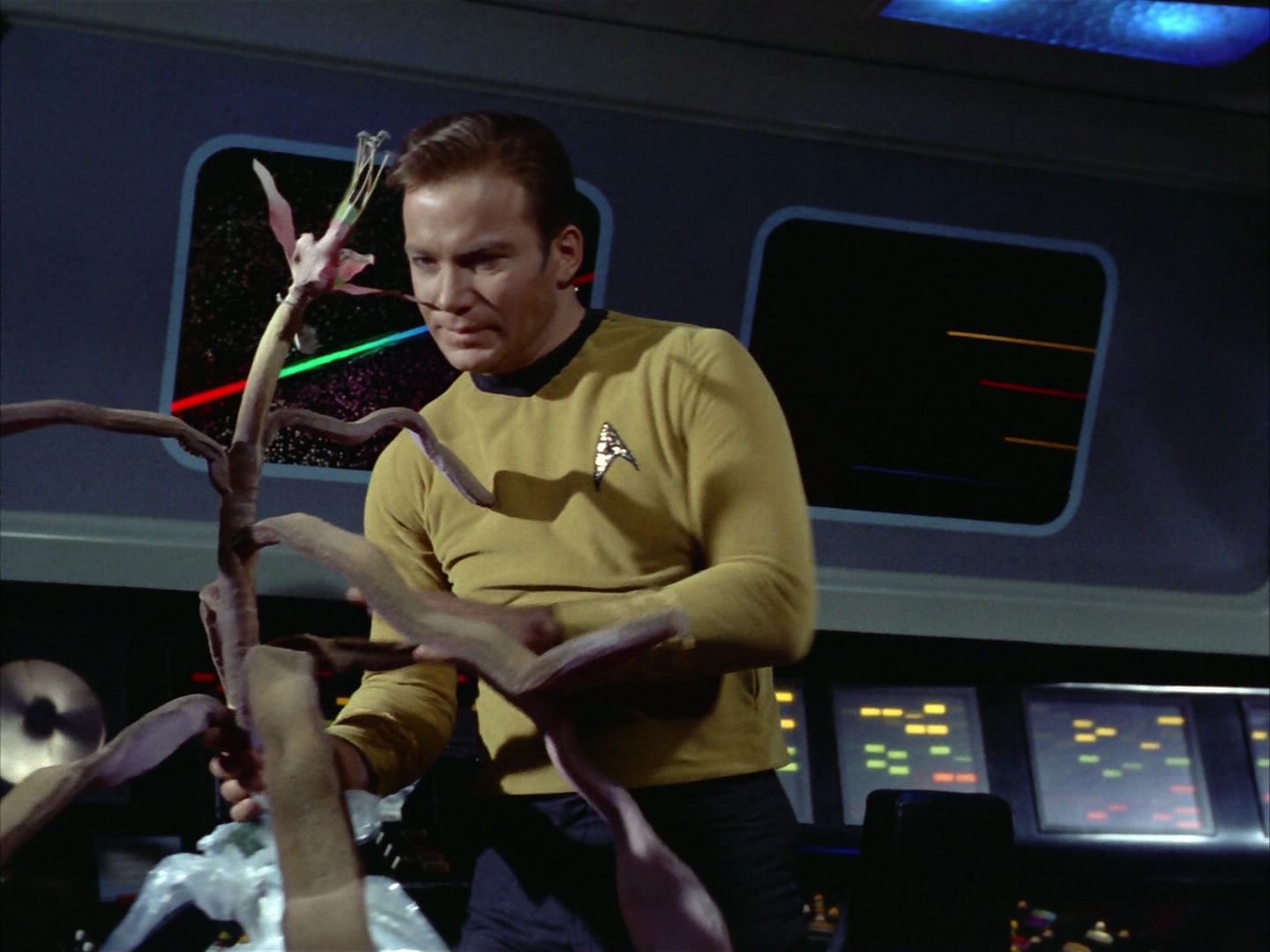 ariane179254_StarTrek_1x24_ThisSideOfParadise_1623.jpg