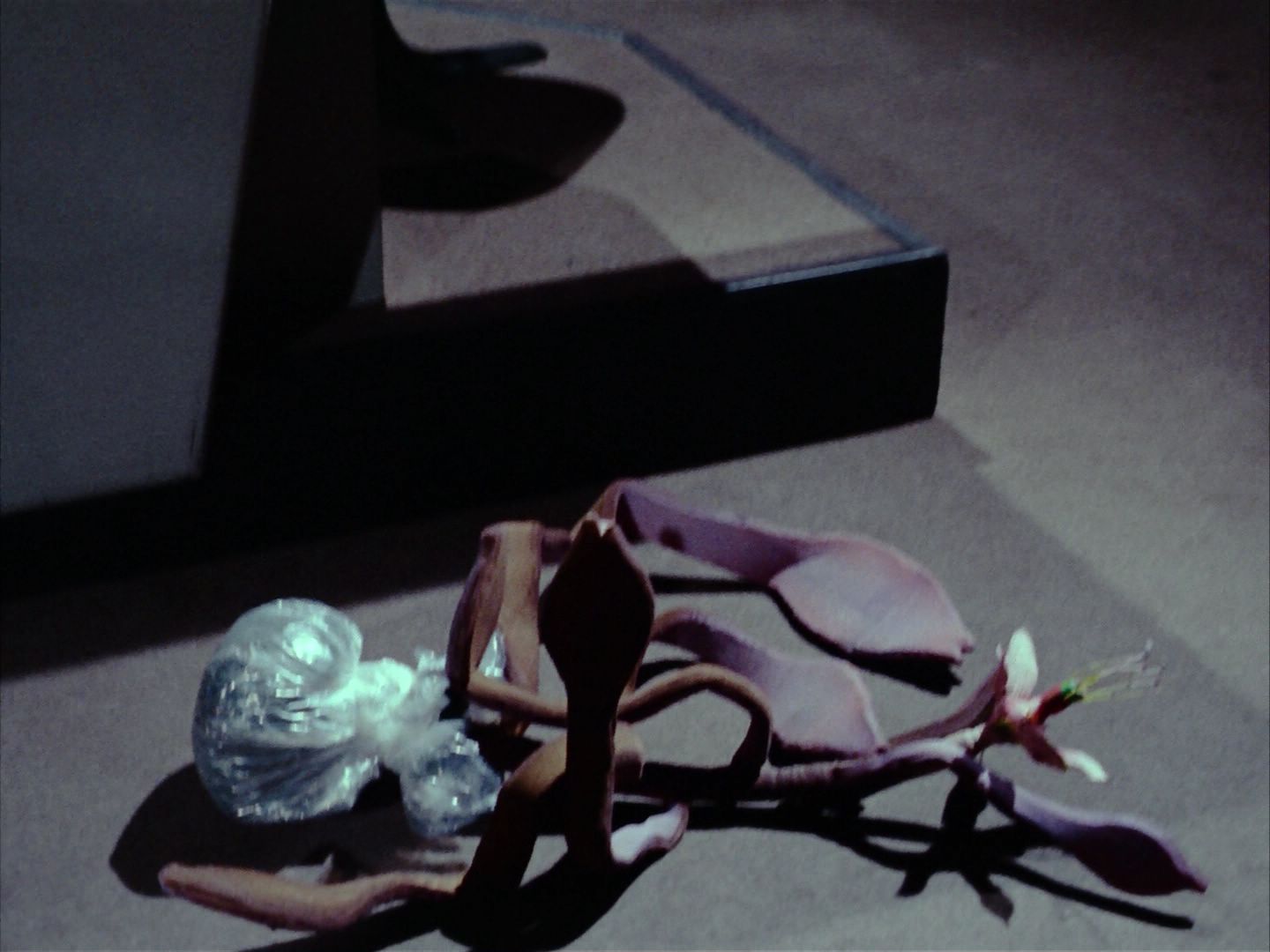 ariane179254_StarTrek_1x24_ThisSideOfParadise_1630.jpg