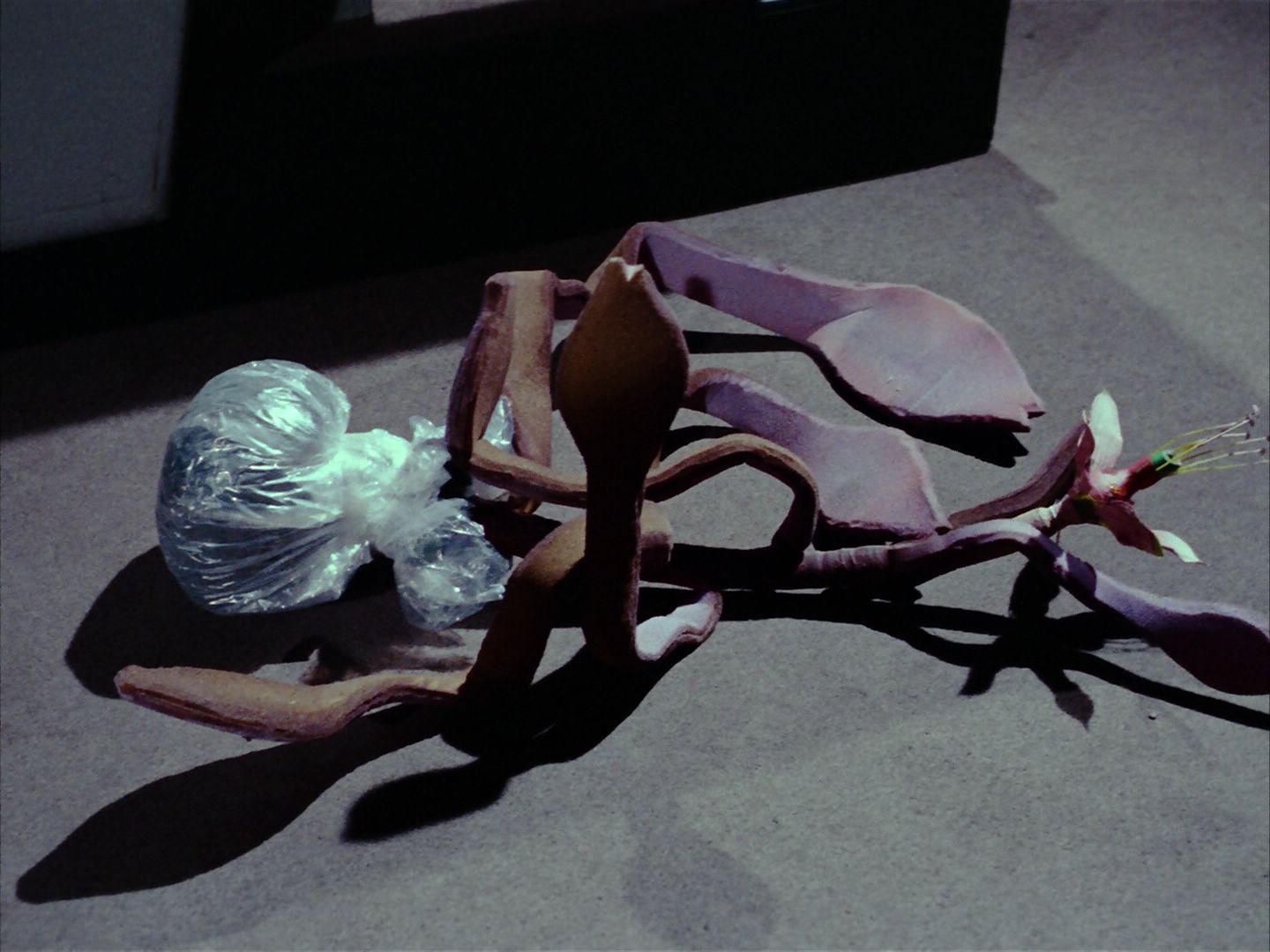 ariane179254_StarTrek_1x24_ThisSideOfParadise_1631.jpg