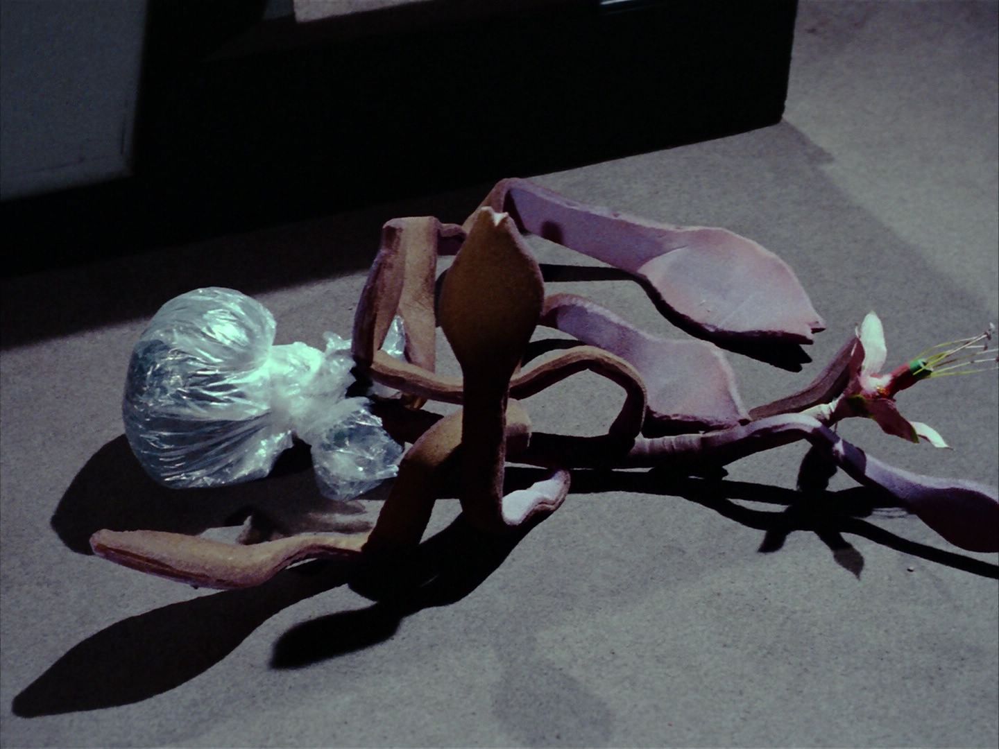 ariane179254_StarTrek_1x24_ThisSideOfParadise_1632.jpg