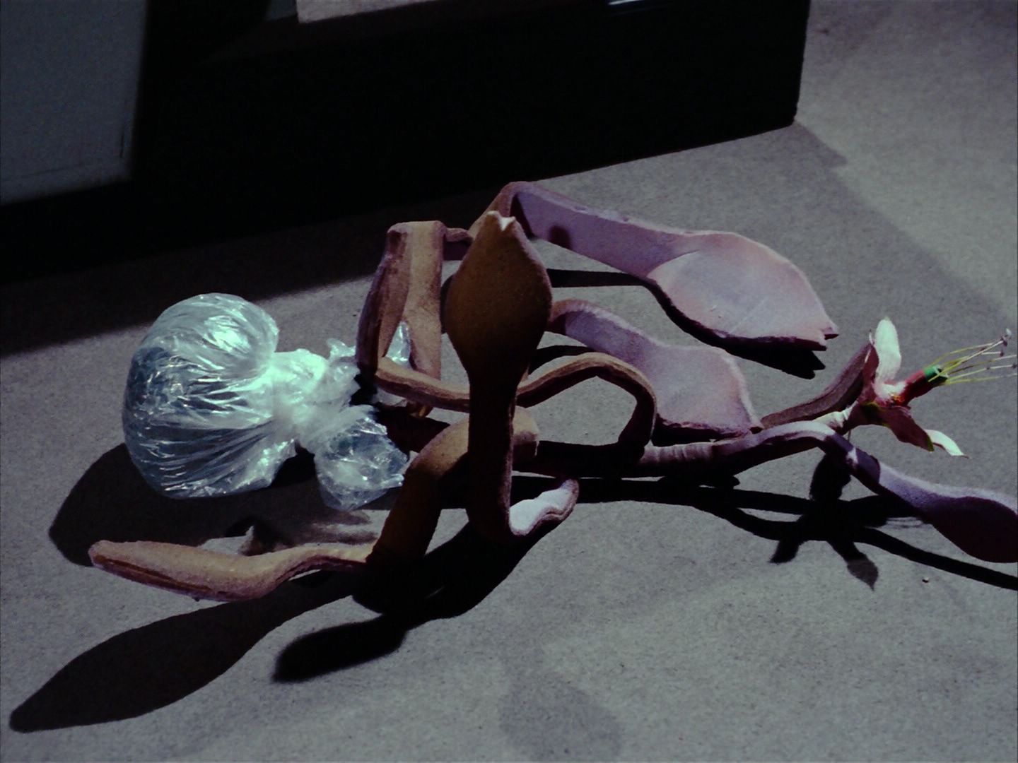 ariane179254_StarTrek_1x24_ThisSideOfParadise_1634.jpg