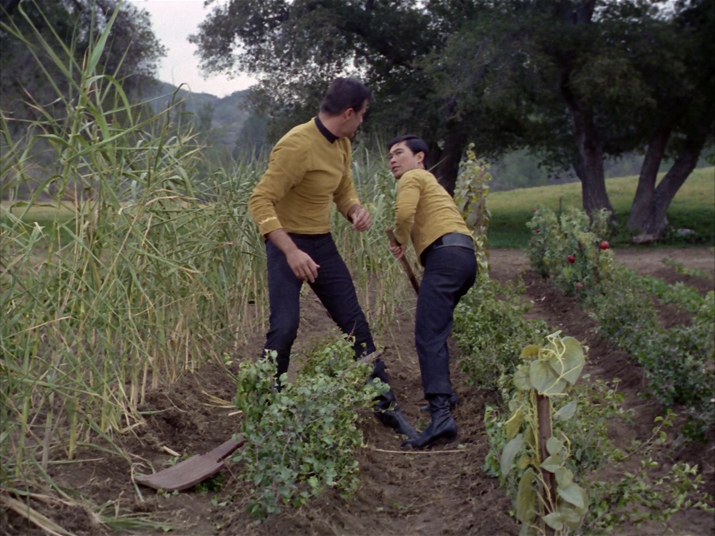 ariane179254_StarTrek_1x24_ThisSideOfParadise_2937.jpg