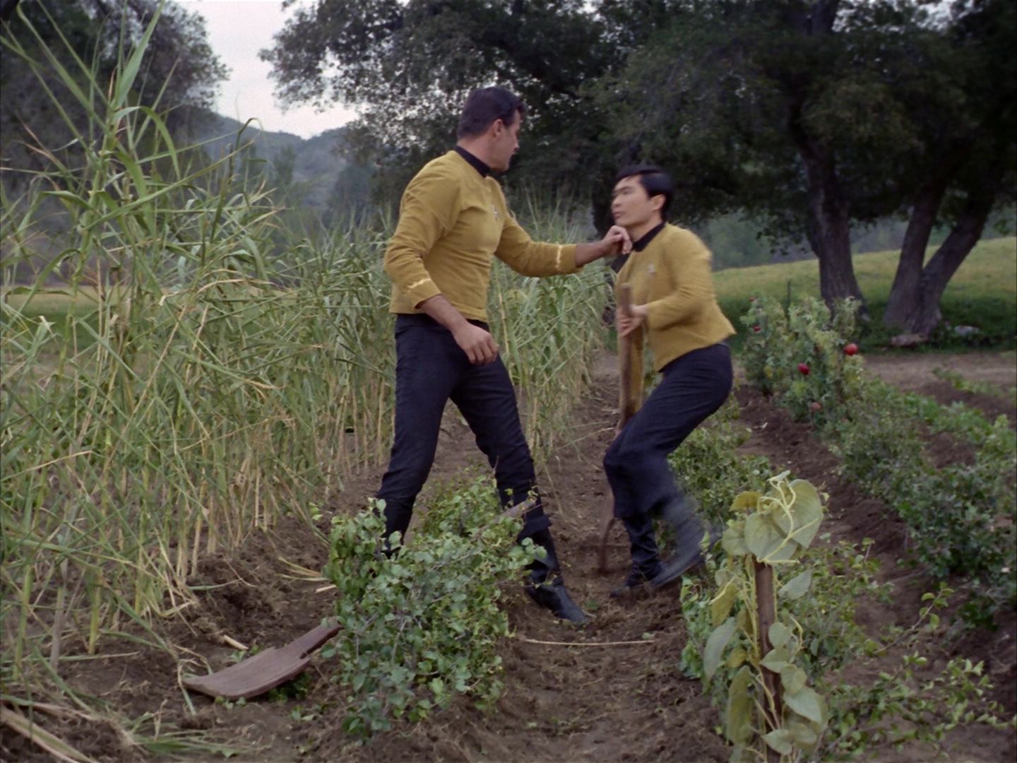 ariane179254_StarTrek_1x24_ThisSideOfParadise_2938.jpg