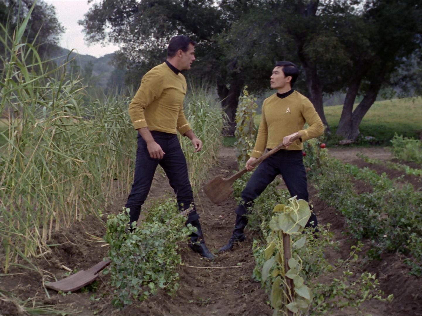 ariane179254_StarTrek_1x24_ThisSideOfParadise_2940.jpg