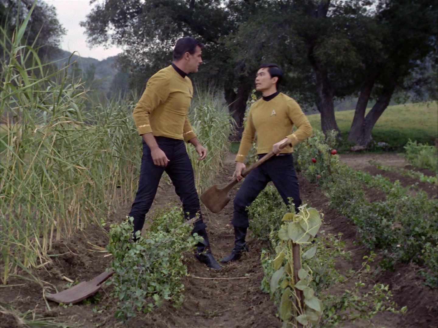 ariane179254_StarTrek_1x24_ThisSideOfParadise_2943.jpg