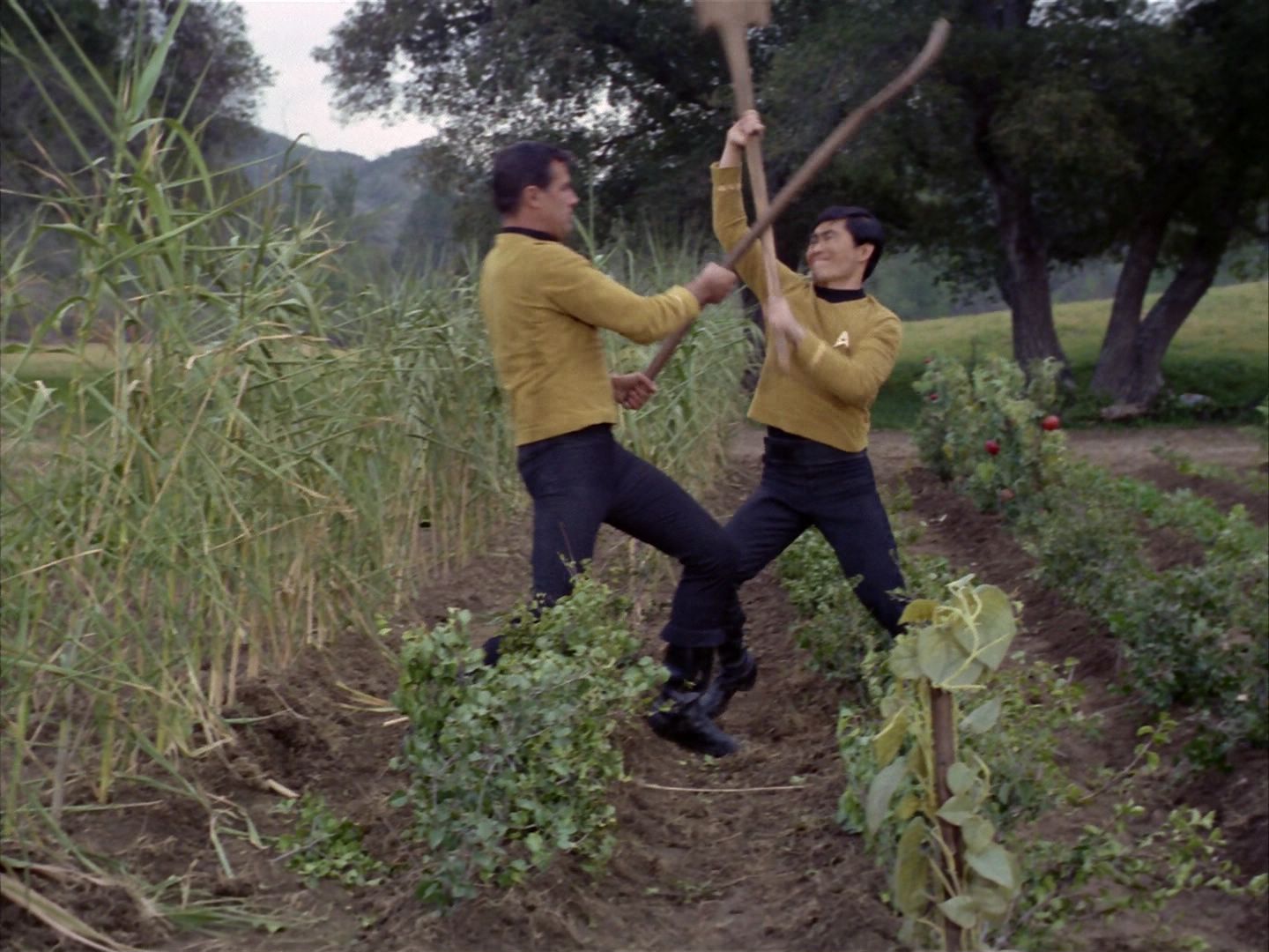 ariane179254_StarTrek_1x24_ThisSideOfParadise_2946.jpg
