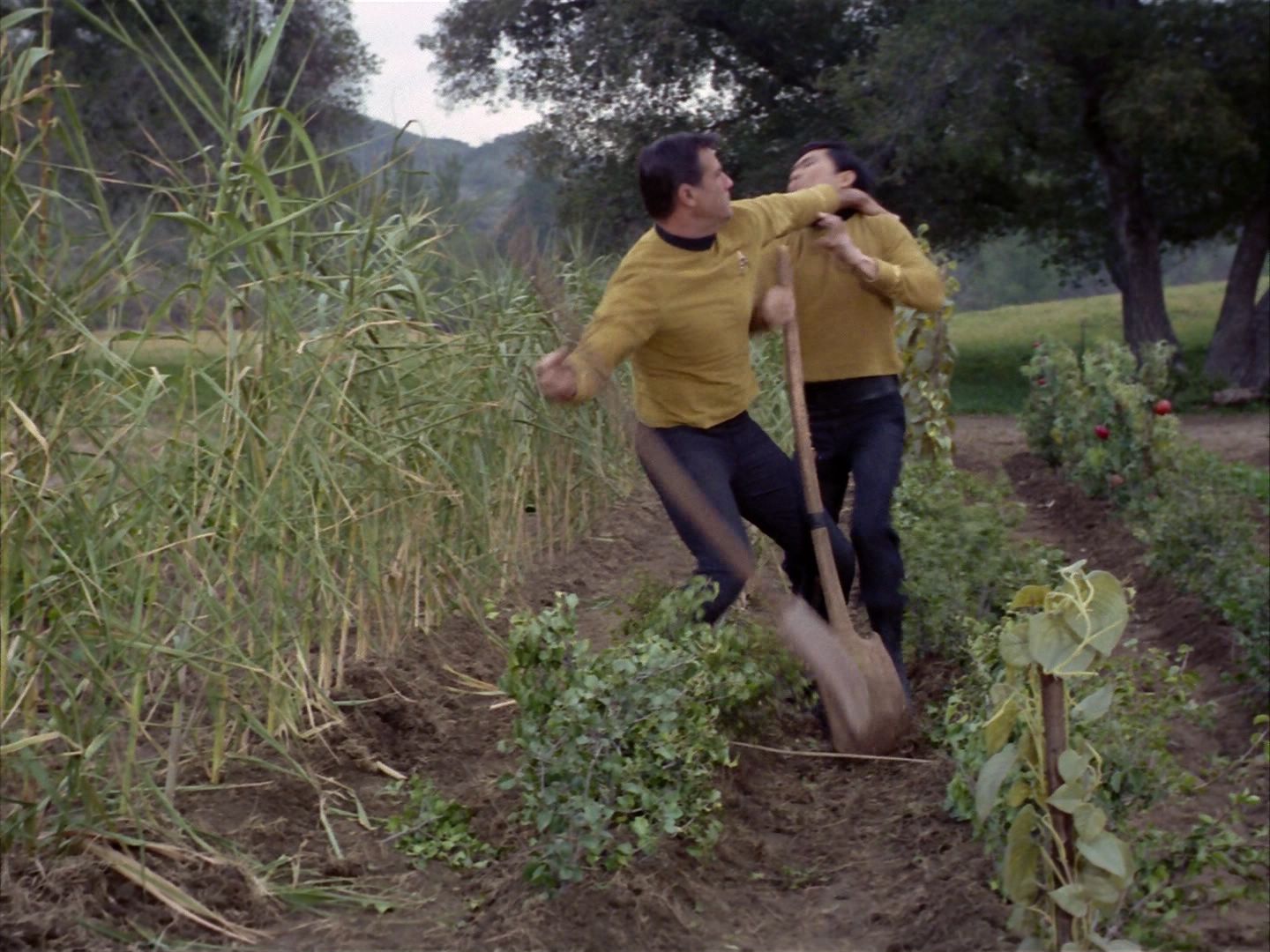 ariane179254_StarTrek_1x24_ThisSideOfParadise_2947.jpg