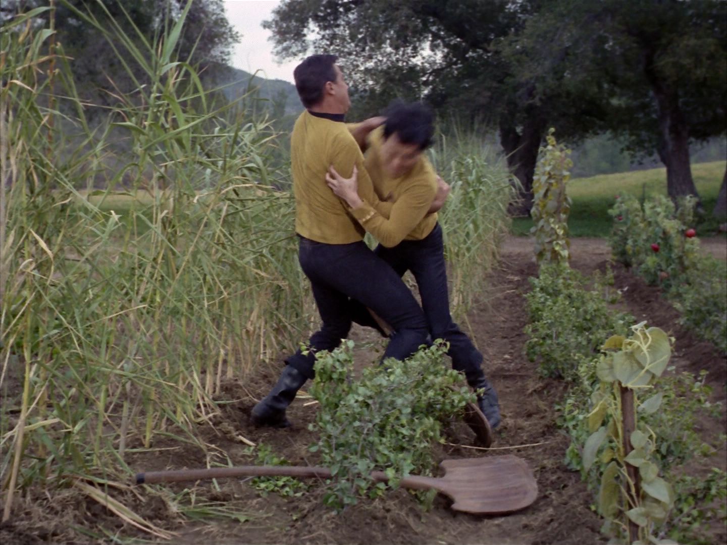 ariane179254_StarTrek_1x24_ThisSideOfParadise_2948.jpg